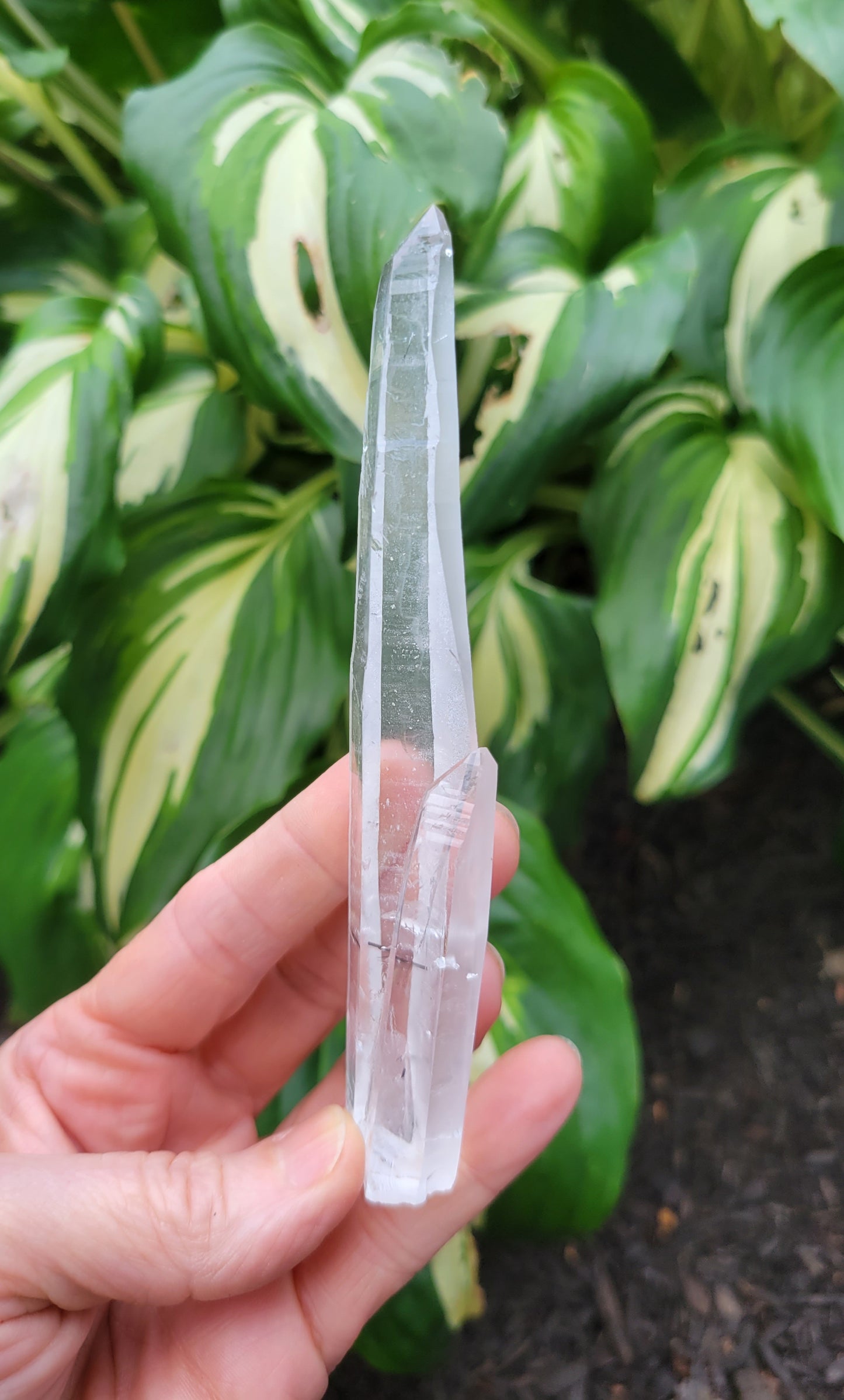 Tourmalinated Laser Quartz from Brazil (W 1 X D 5/8 X L 5 1/8 inches)