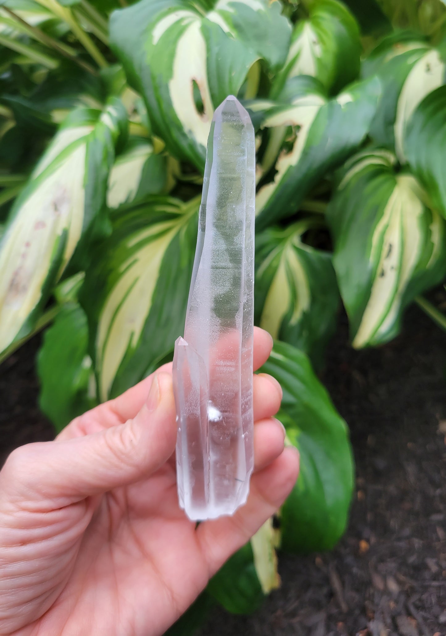 Tourmalinated Laser Quartz from Brazil (W 1 X D 5/8 X L 5 1/8 inches)