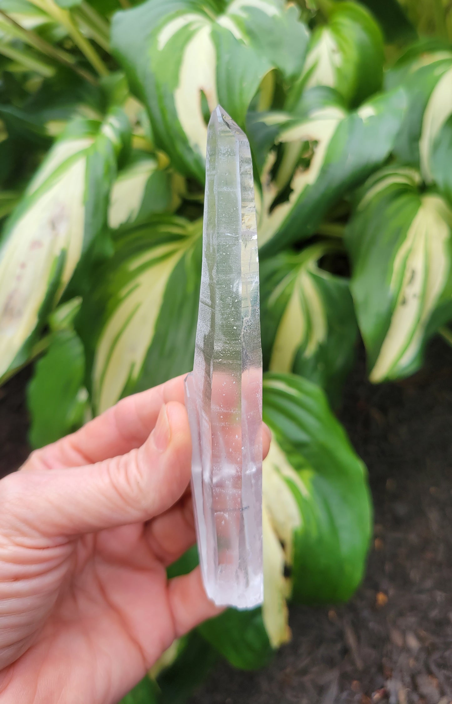 Tourmalinated Laser Quartz from Brazil (W 1 X D 5/8 X L 5 1/8 inches)