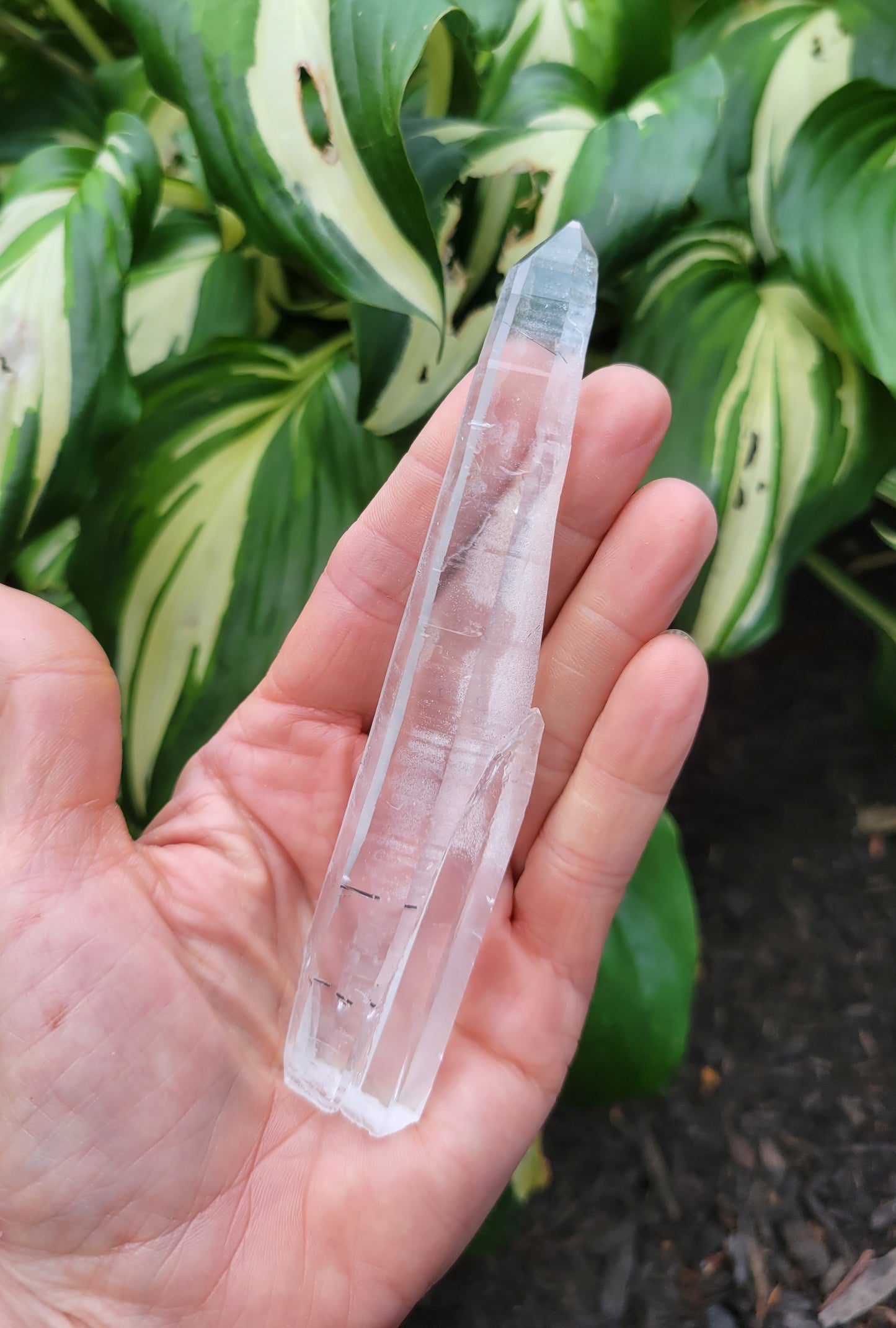 Tourmalinated Laser Quartz from Brazil (W 1 X D 5/8 X L 5 1/8 inches)
