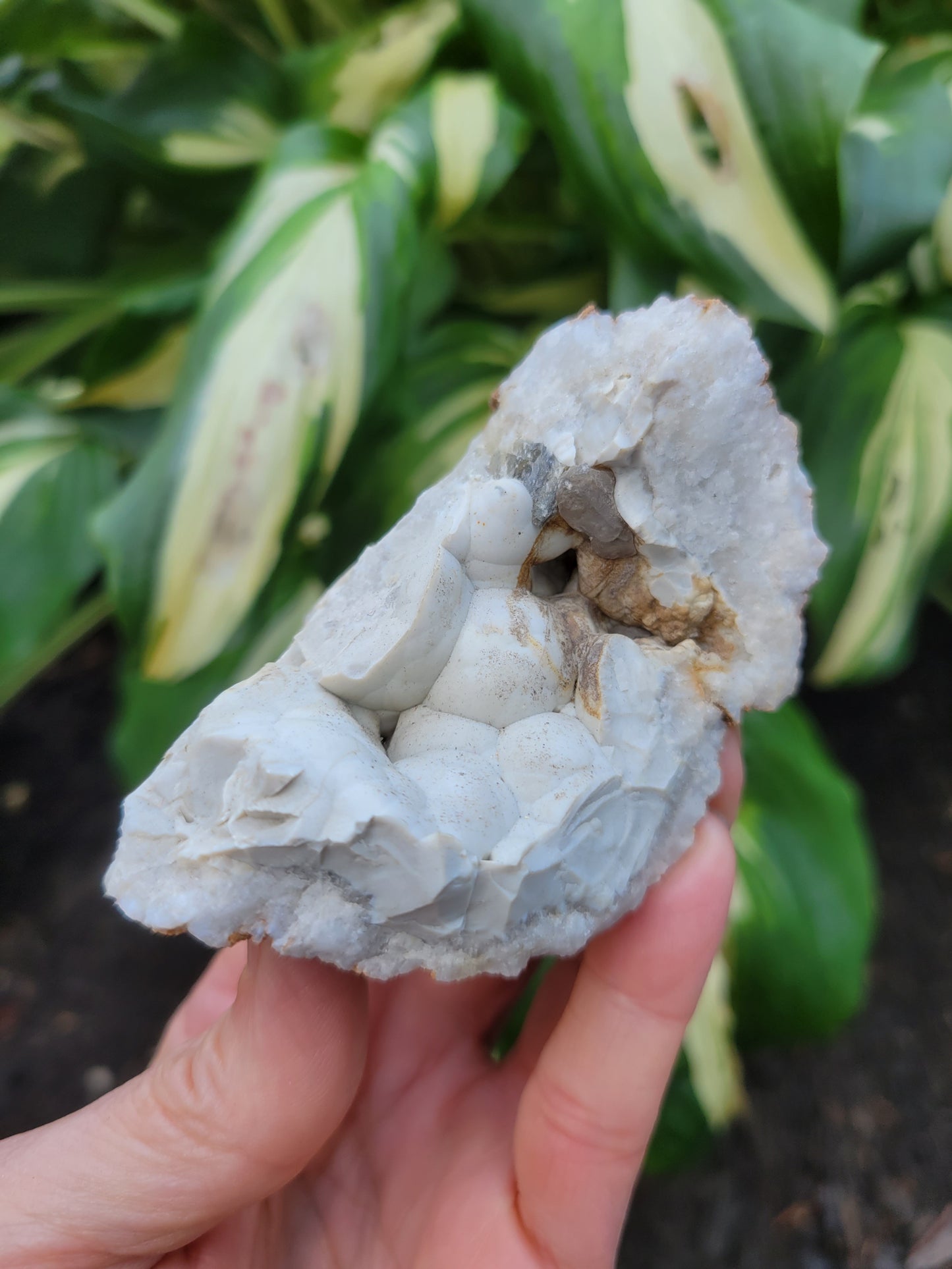 Menilite Opal, location unknown (W 2 1/8 X D1 1/2 X L 3 3/8 inches)