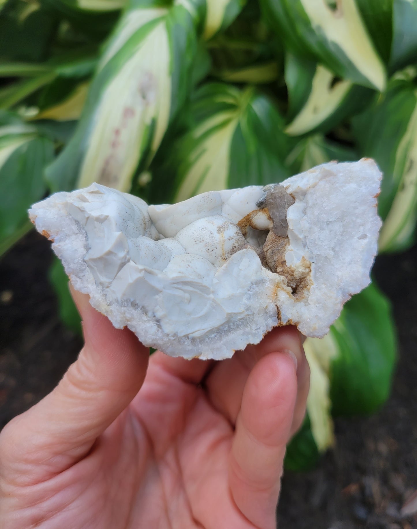 Menilite Opal, location unknown (W 2 1/8 X D1 1/2 X L 3 3/8 inches)