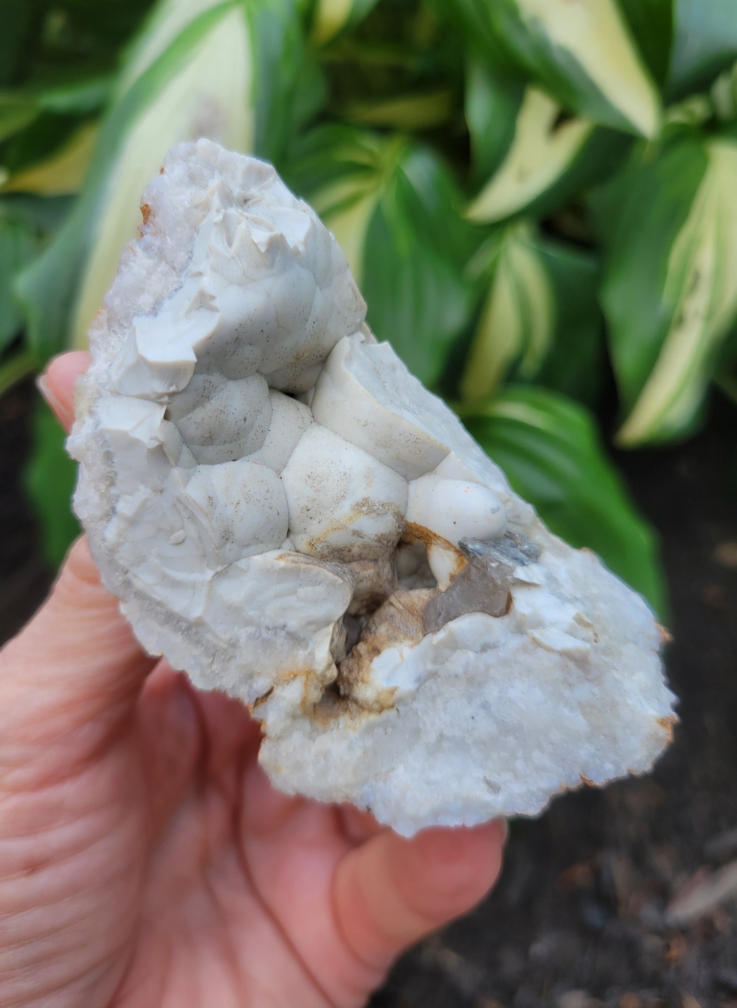 Menilite Opal, location unknown (W 2 1/8 X D1 1/2 X L 3 3/8 inches)
