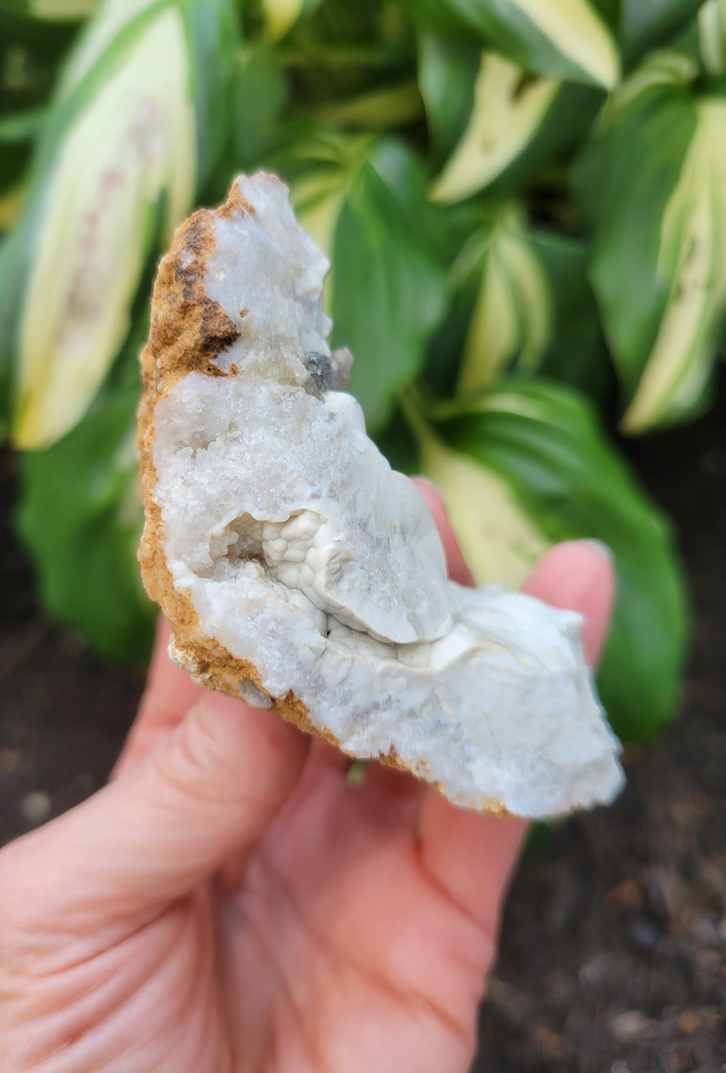 Menilite Opal, location unknown (W 2 1/8 X D1 1/2 X L 3 3/8 inches)