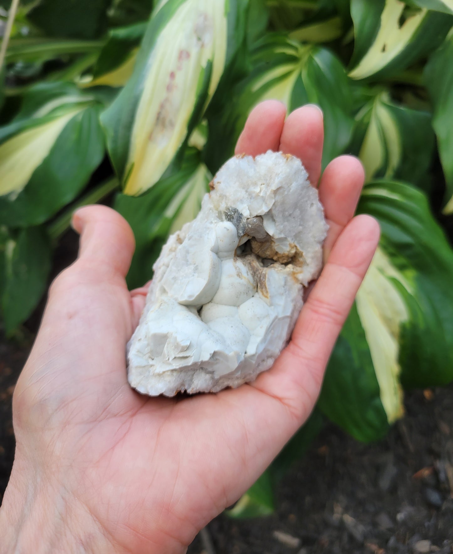 Menilite Opal, location unknown (W 2 1/8 X D1 1/2 X L 3 3/8 inches)