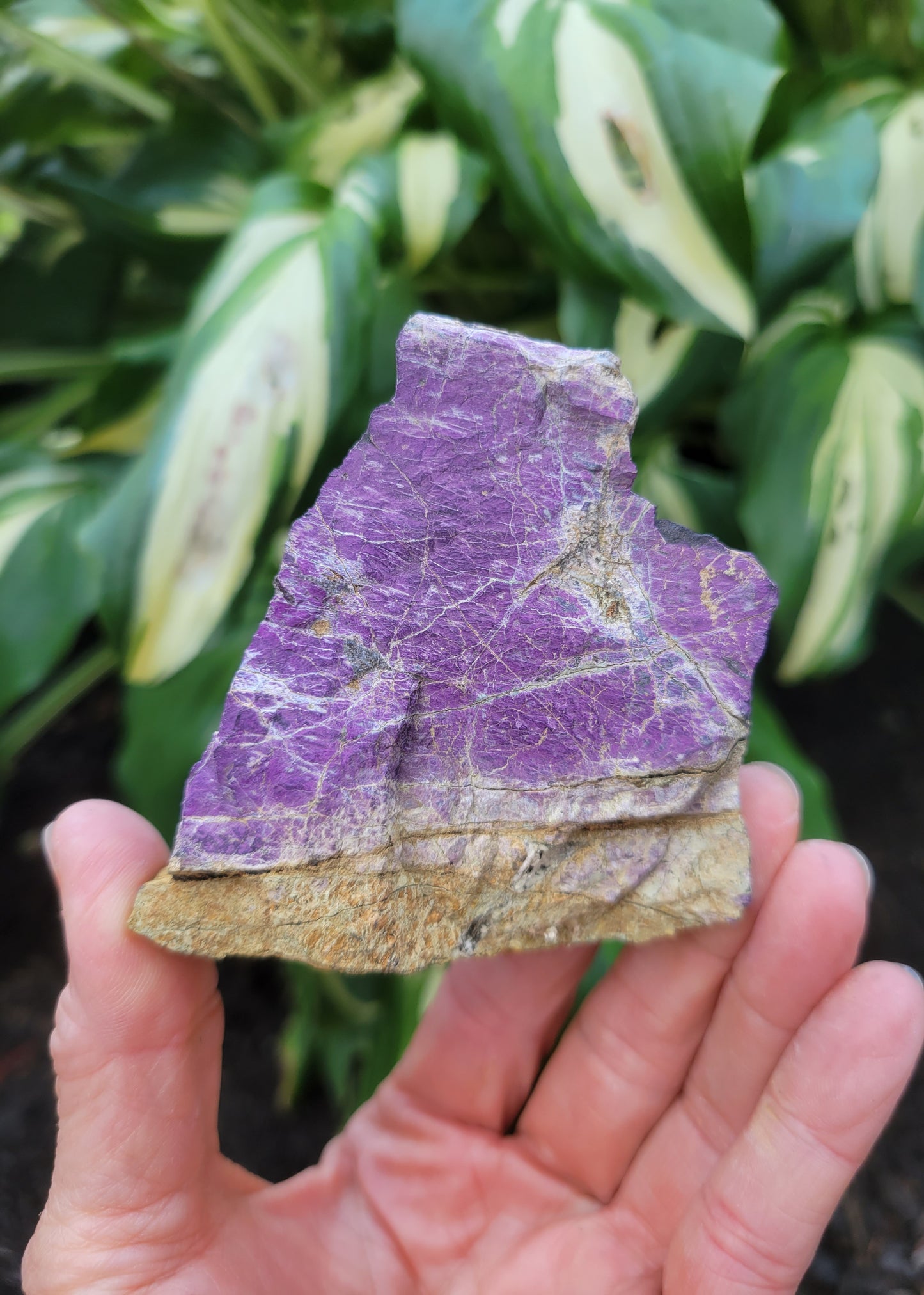 Purpurite, location unknown (W 2 7/8 X D 1 3/8 X 3 inches)