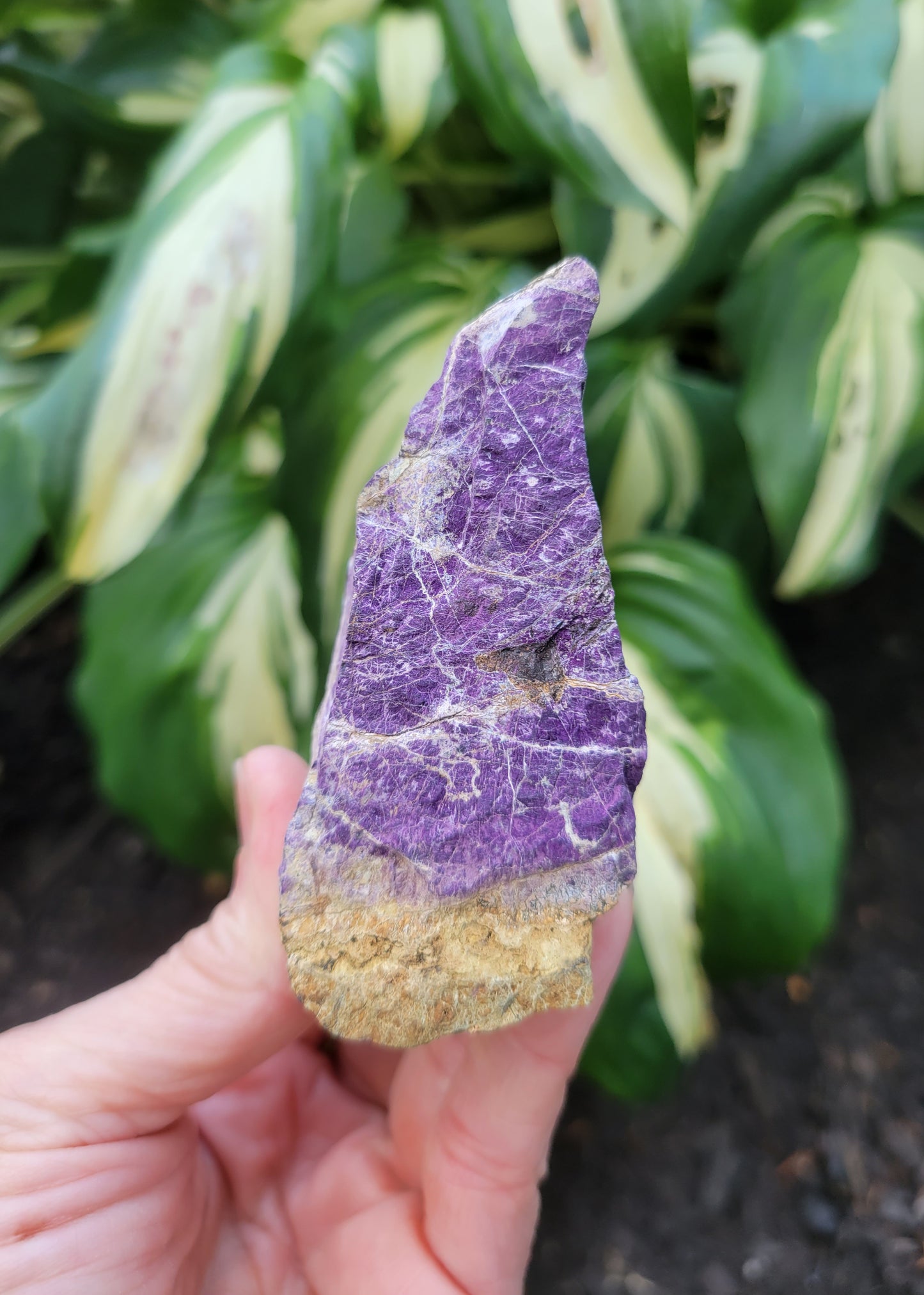 Purpurite, location unknown (W 2 7/8 X D 1 3/8 X 3 inches)