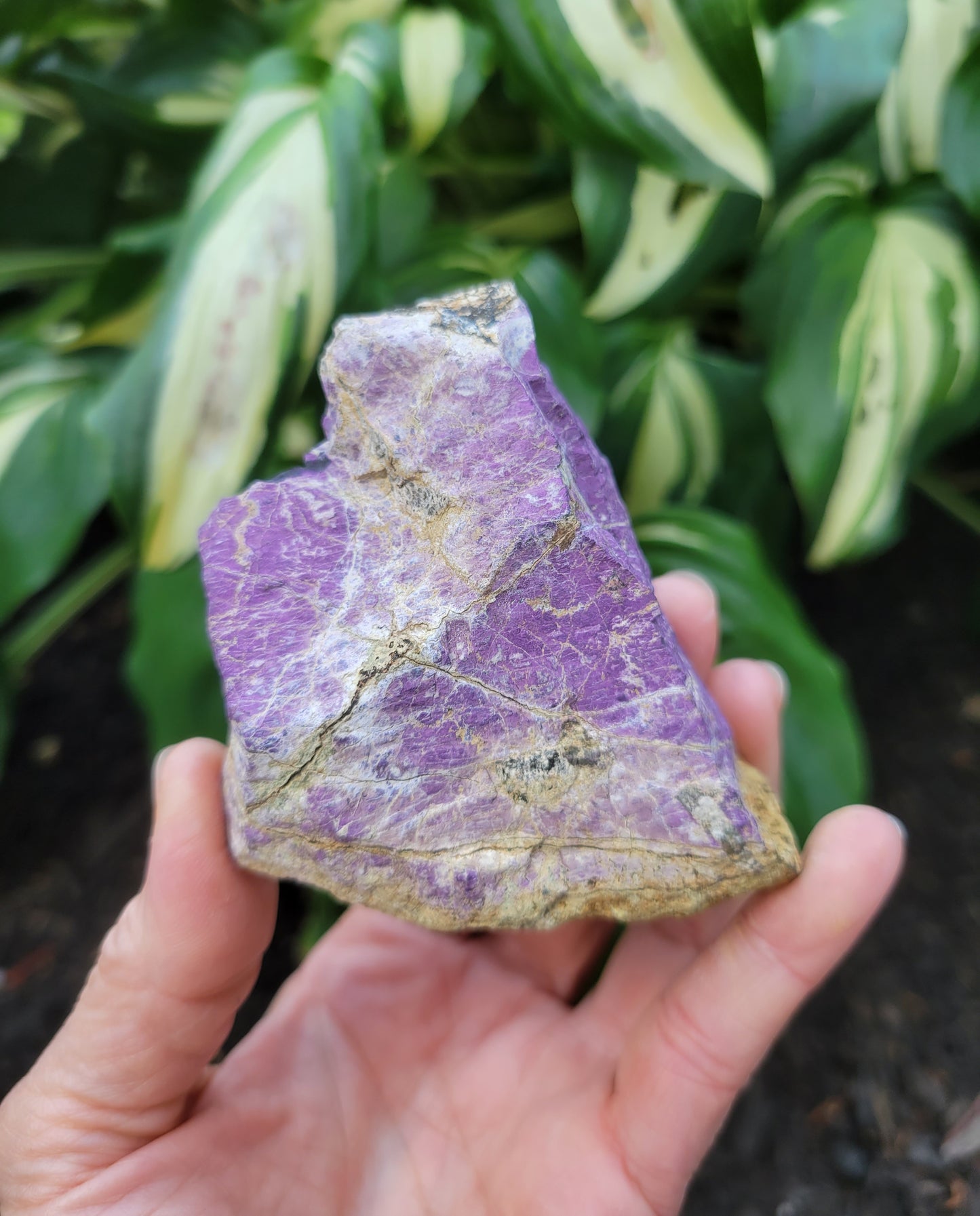 Purpurite, location unknown (W 2 7/8 X D 1 3/8 X 3 inches)