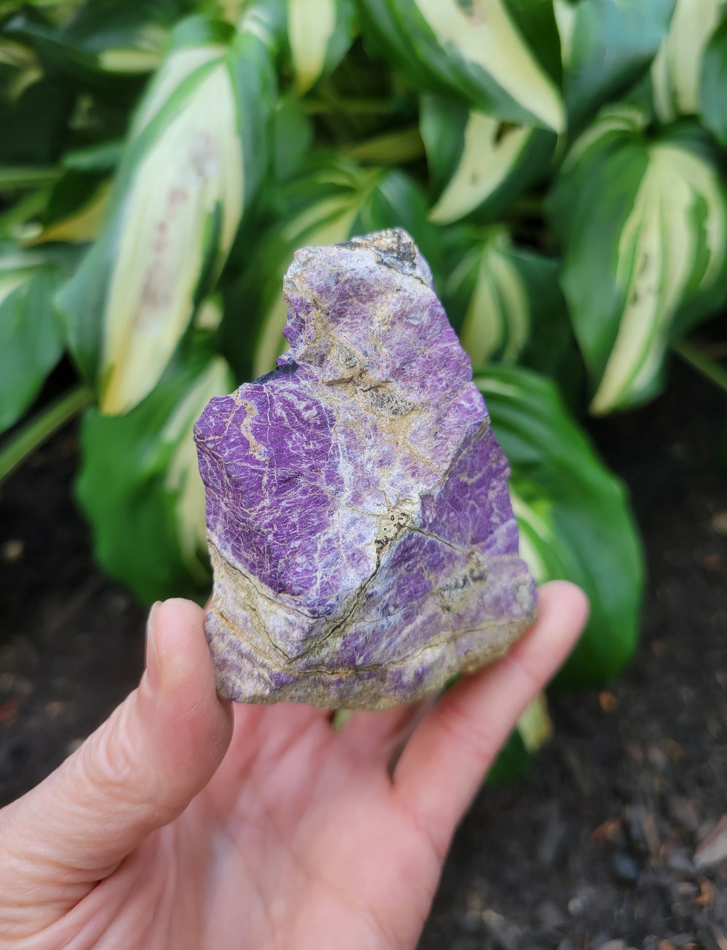 Purpurite, location unknown (W 2 7/8 X D 1 3/8 X 3 inches)
