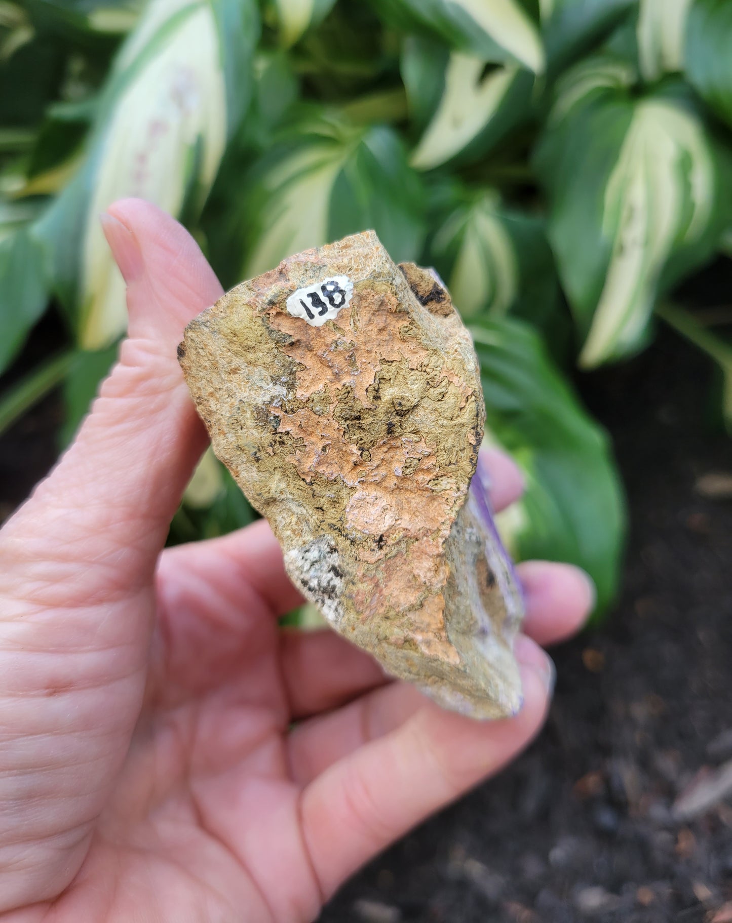 Purpurite, location unknown (W 2 7/8 X D 1 3/8 X 3 inches)