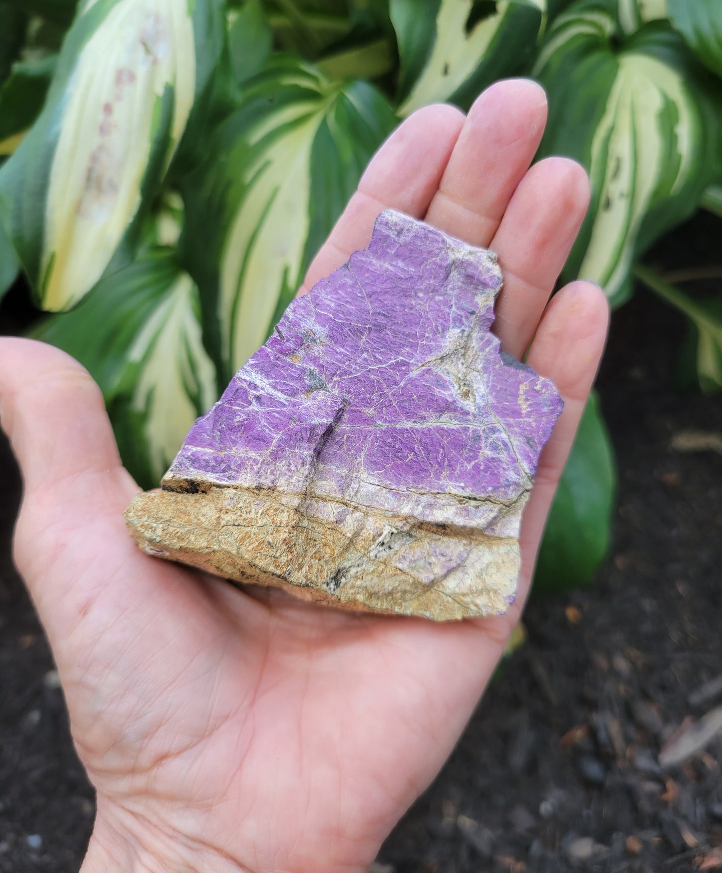 Purpurite, location unknown (W 2 7/8 X D 1 3/8 X 3 inches)