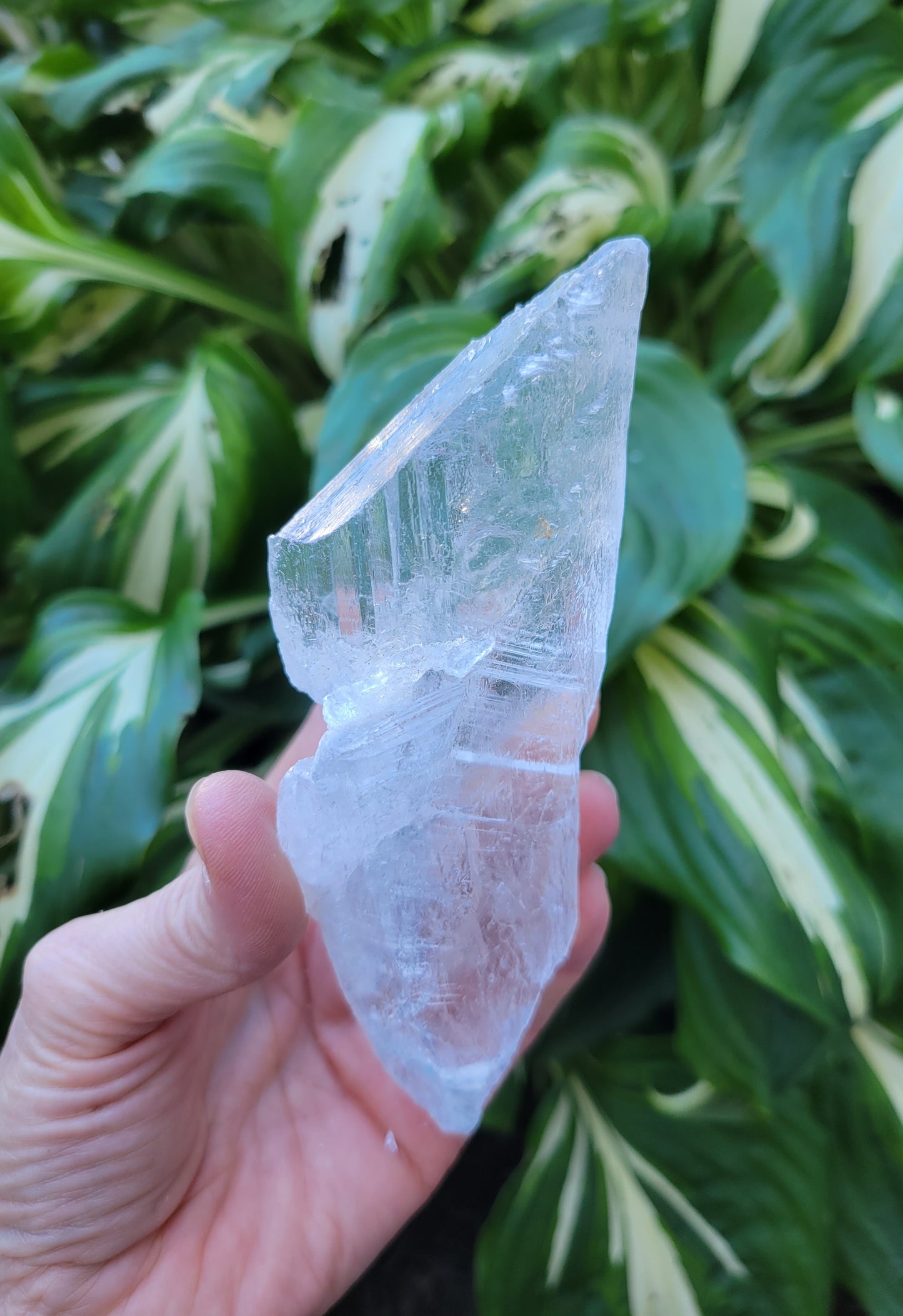 Selenite from Mexico (W 2 1/4 X D 1 1/4 X L 5 5/8 inches)