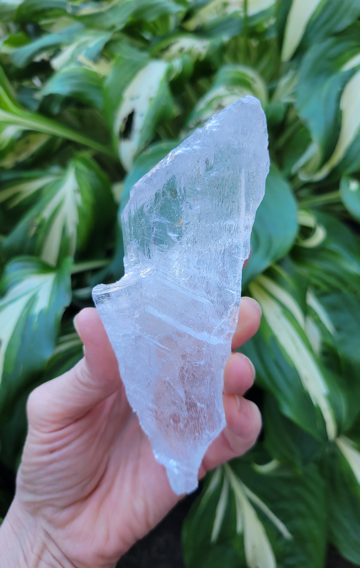 Selenite from Mexico (W 2 1/4 X D 1 1/4 X L 5 5/8 inches)