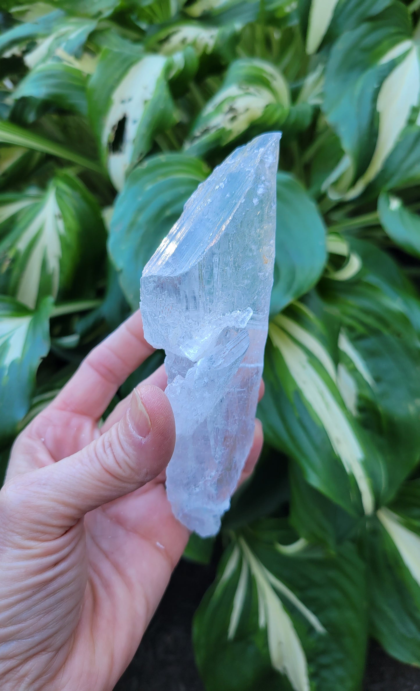 Selenite from Mexico (W 2 1/4 X D 1 1/4 X L 5 5/8 inches)