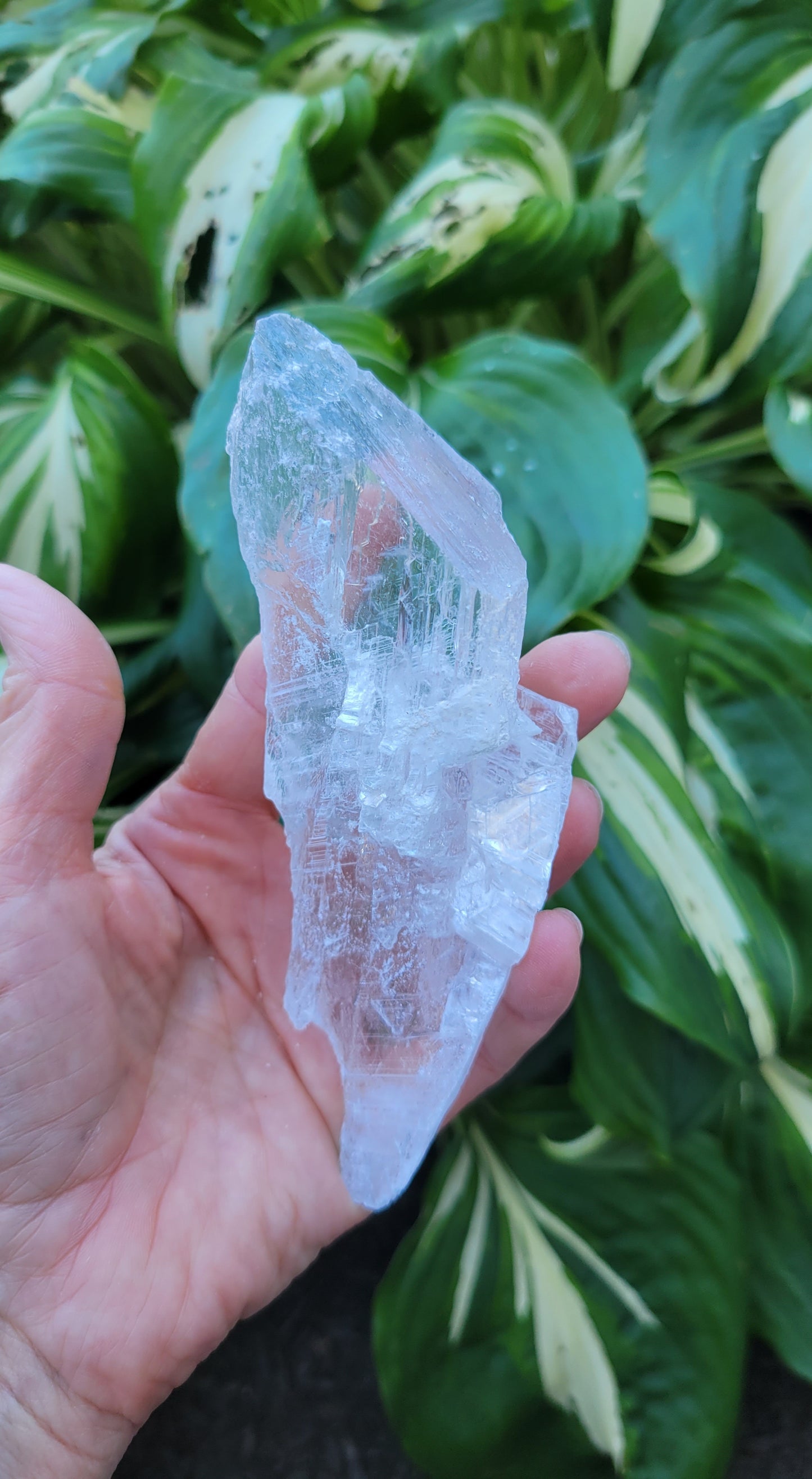 Selenite from Mexico (W 2 1/4 X D 1 1/4 X L 5 5/8 inches)