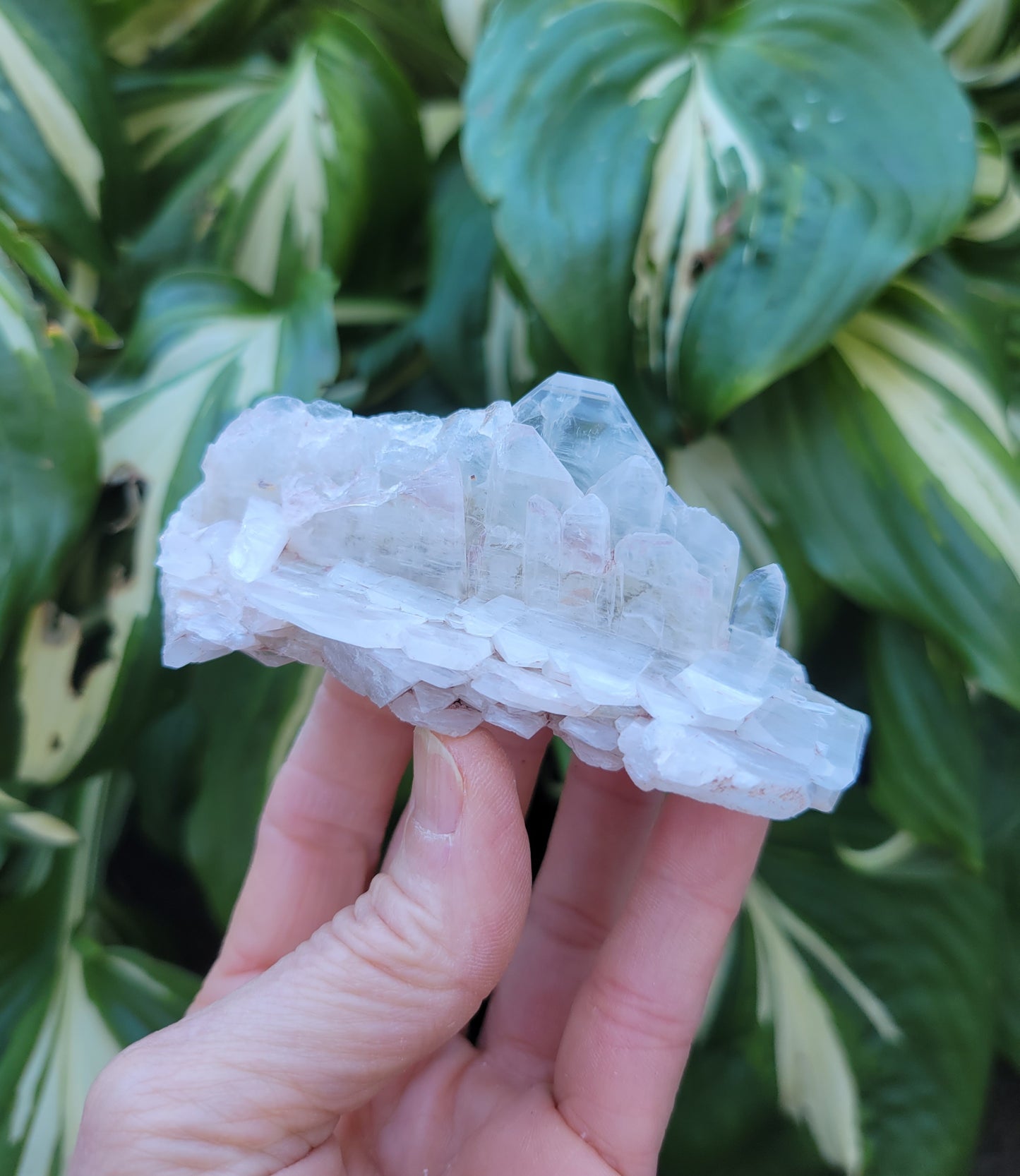 Quartz with Lithium, Faden Growth Habit from Colombia (2 1/4 X 1 1/2 X 3 3/4 inches)