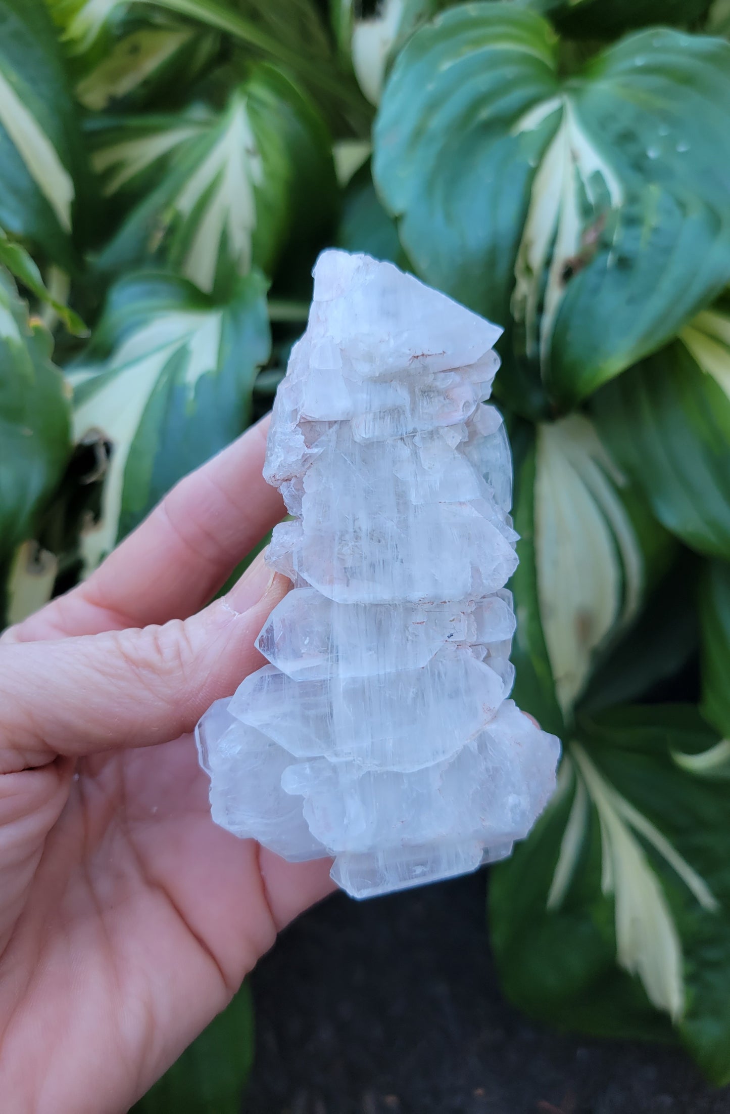 Quartz with Lithium, Faden Growth Habit from Colombia (2 1/4 X 1 1/2 X 3 3/4 inches)