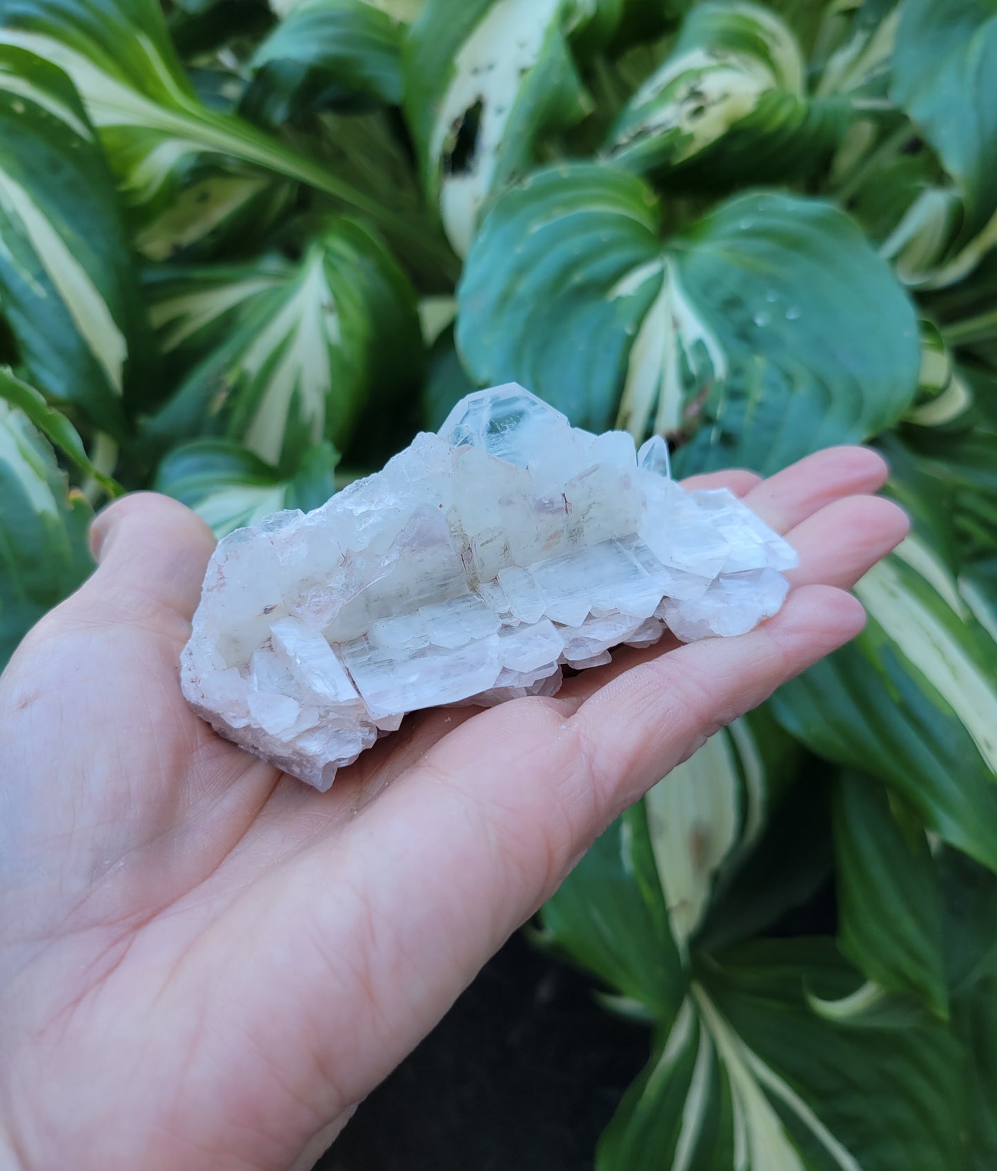 Quartz with Lithium, Faden Growth Habit from Colombia (2 1/4 X 1 1/2 X 3 3/4 inches)
