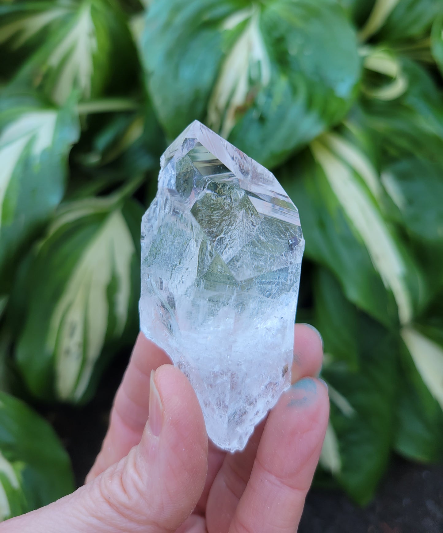 Quartz from Colombia (W 1 3/8 X D 1 X L 2 5/8 inches)