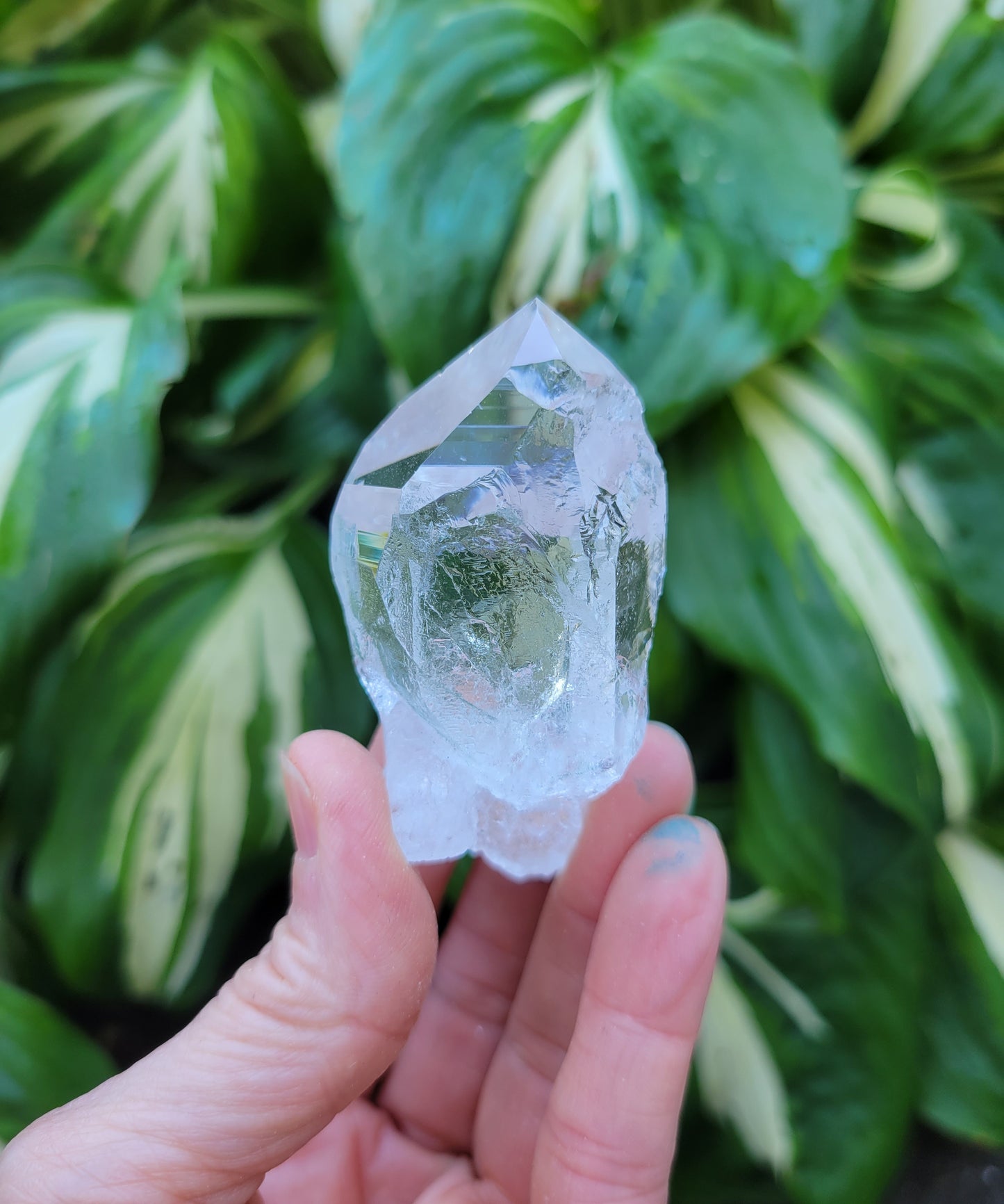 Quartz from Colombia (W 1 3/8 X D 1 X L 2 5/8 inches)