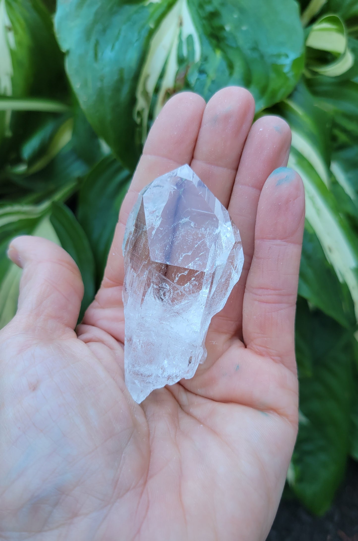 Quartz from Colombia (W 1 3/8 X D 1 X L 2 5/8 inches)