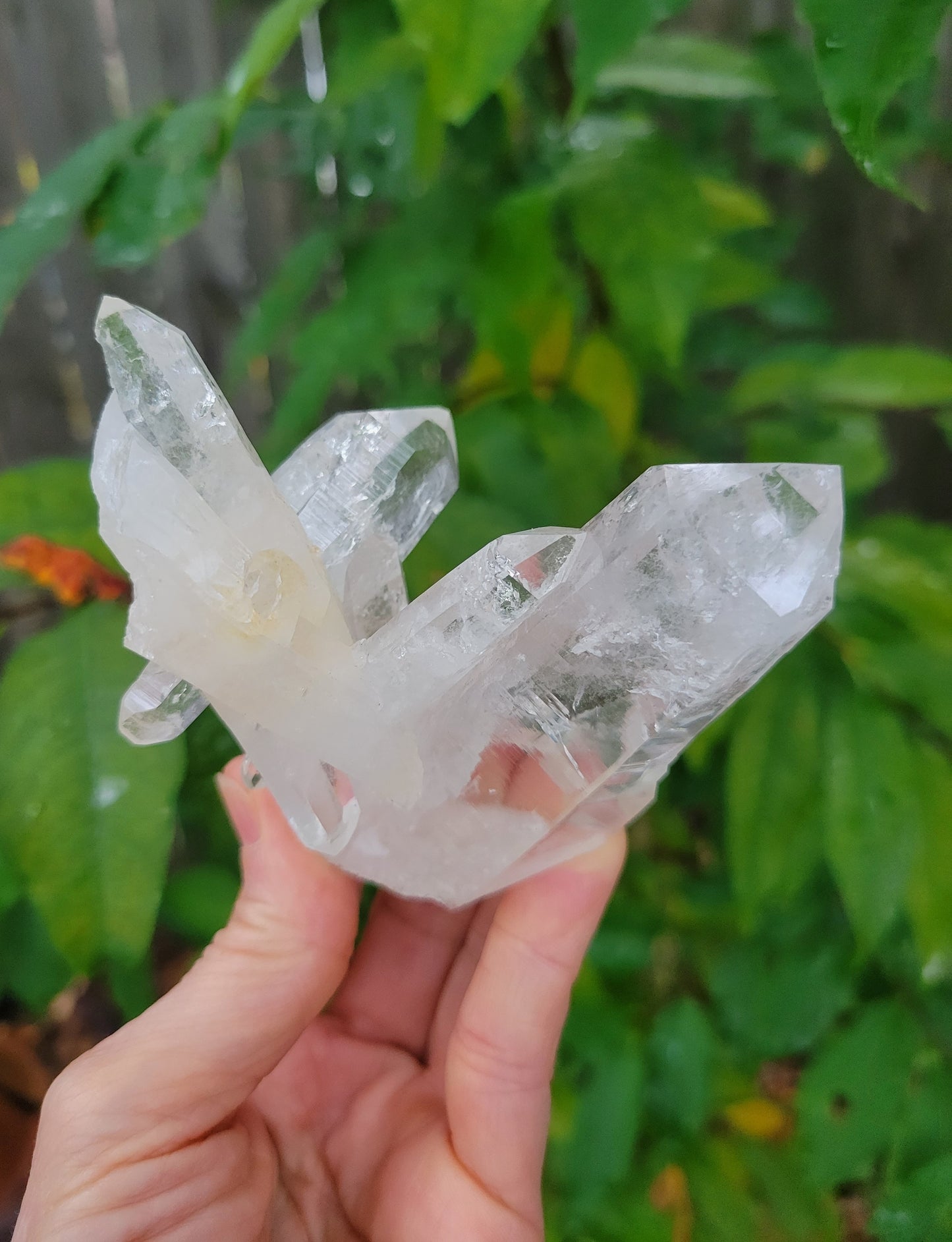 Quartz Cluster from Colombia (W 3 1/2 X D 2 1/4 X L 3 1/4 inches)