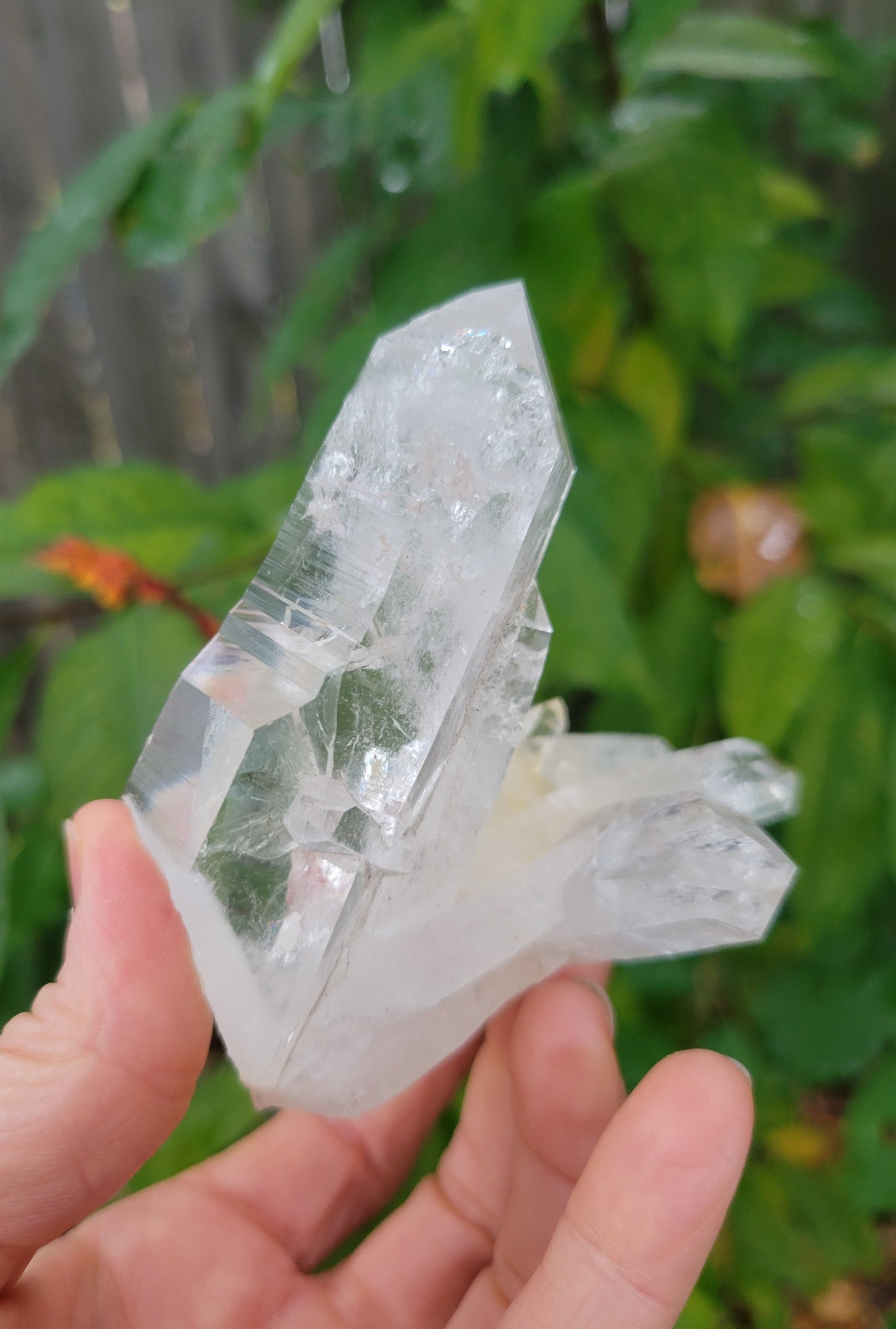 Quartz Cluster from Colombia (W 3 1/2 X D 2 1/4 X L 3 1/4 inches)