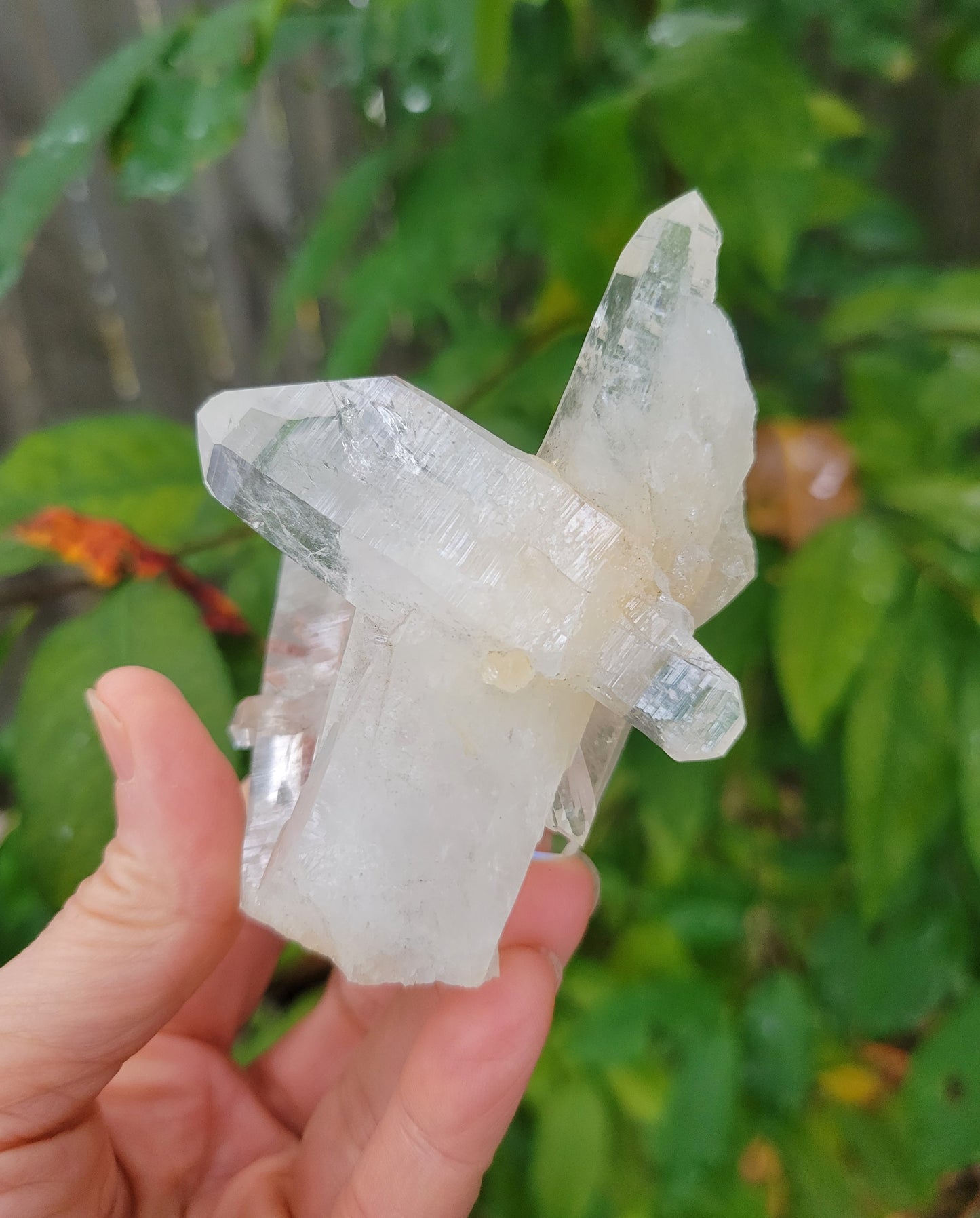 Quartz Cluster from Colombia (W 3 1/2 X D 2 1/4 X L 3 1/4 inches)