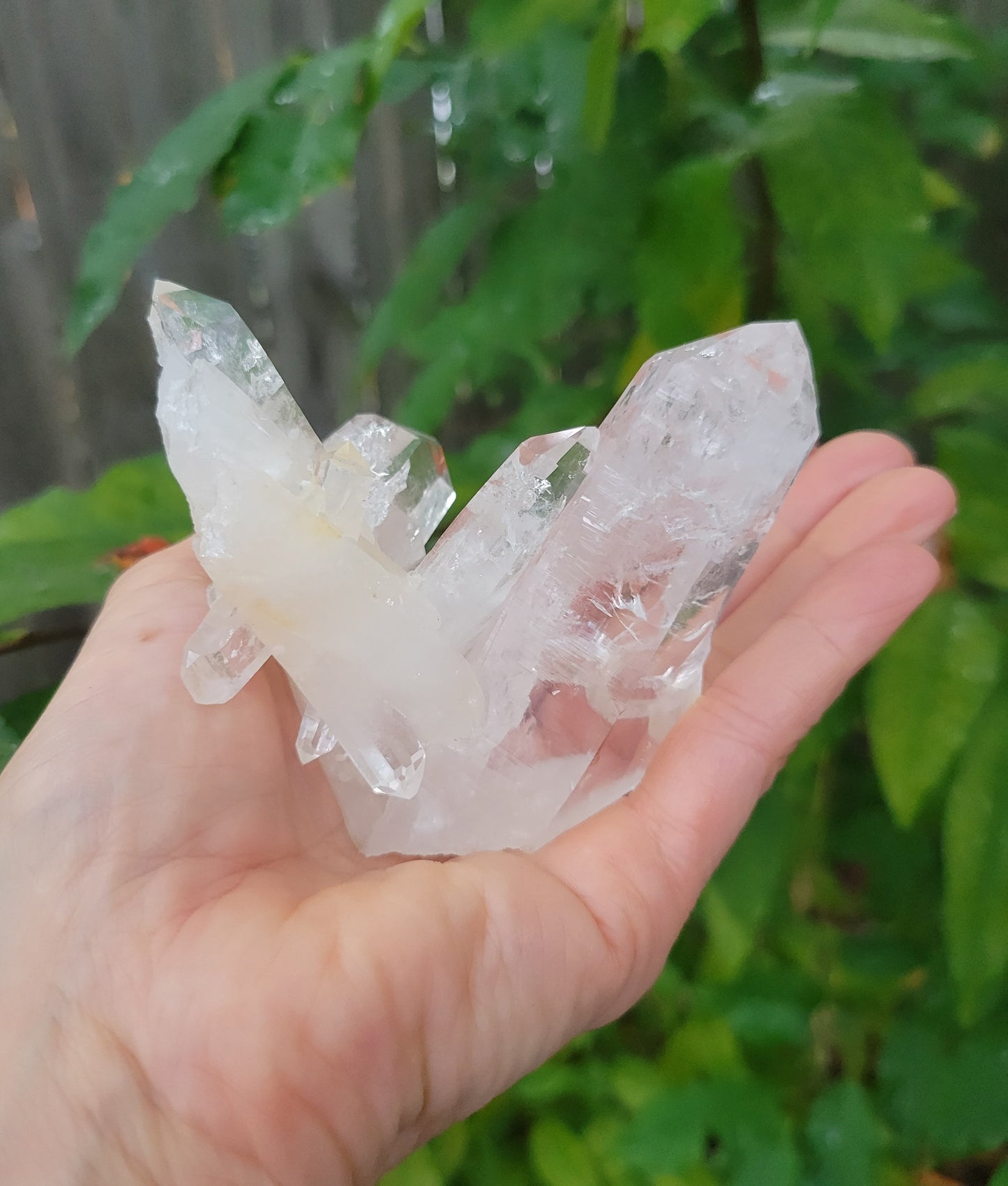 Quartz Cluster from Colombia (W 3 1/2 X D 2 1/4 X L 3 1/4 inches)