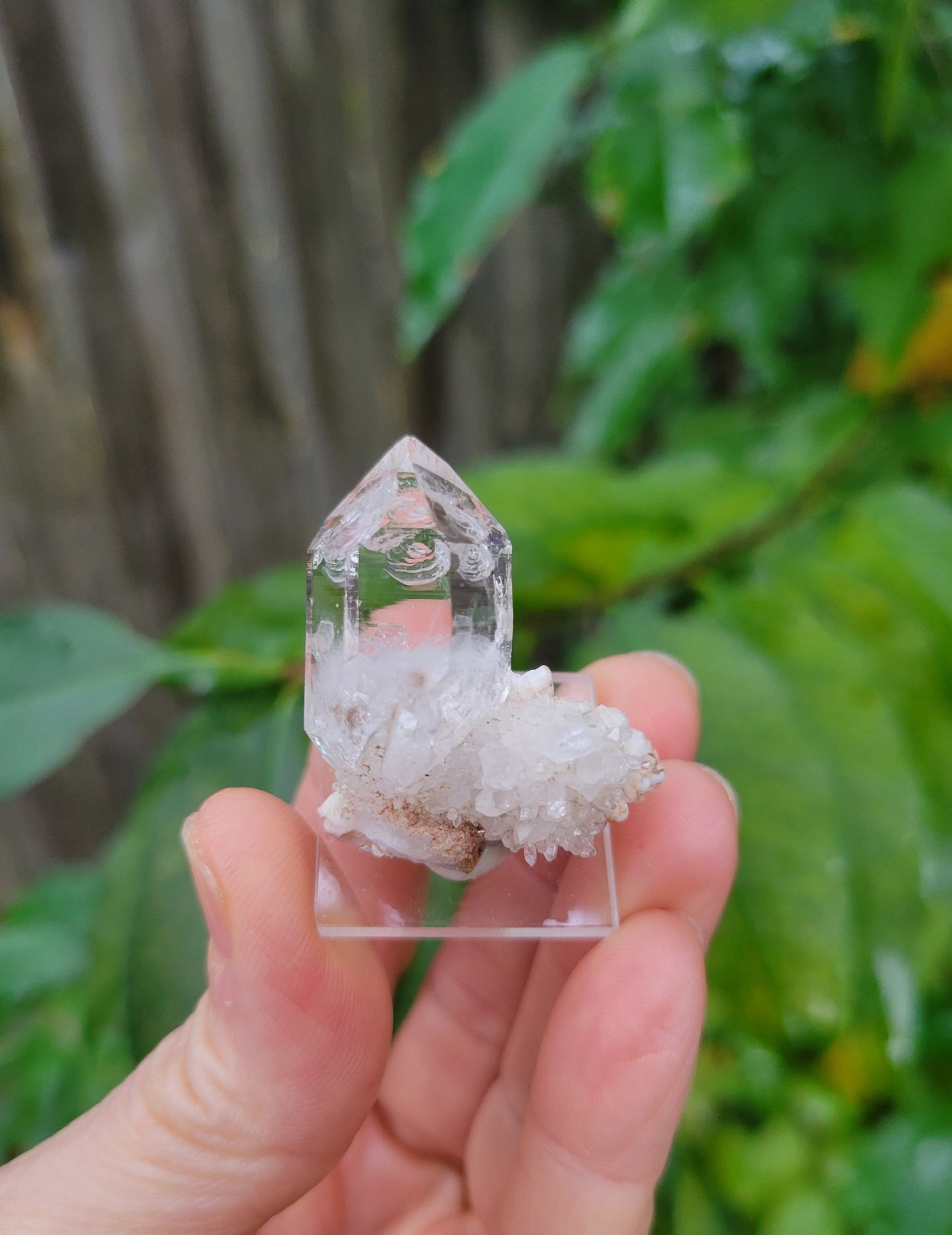 Quartz Cluster from Goboboseb, Namibia (W 1 1/4 X D 5/8 X L 1 3/8 inches)