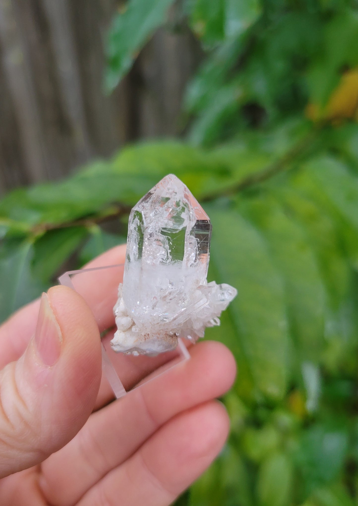 Quartz Cluster from Goboboseb, Namibia (W 1 1/4 X D 5/8 X L 1 3/8 inches)