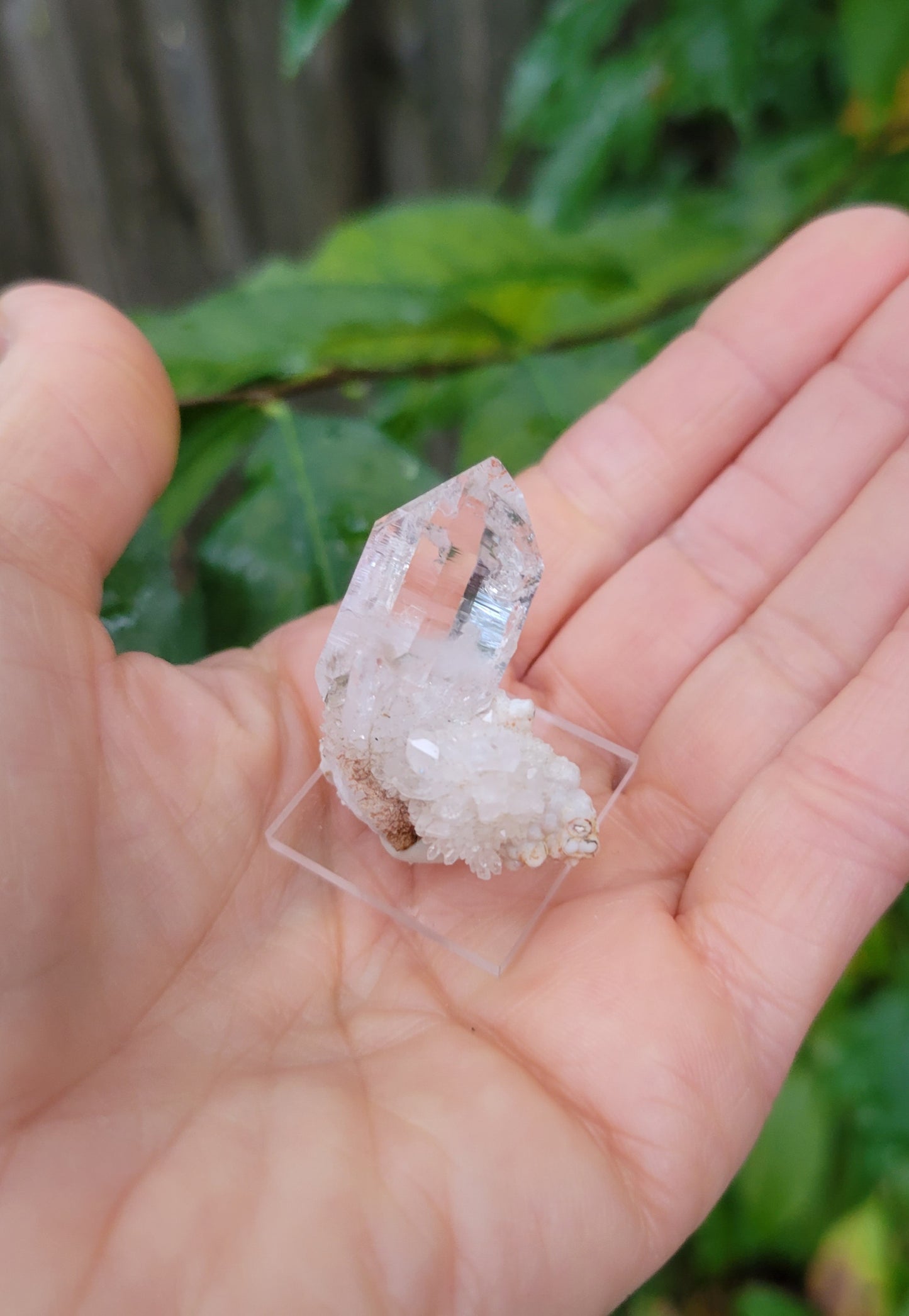 Quartz Cluster from Goboboseb, Namibia (W 1 1/4 X D 5/8 X L 1 3/8 inches)