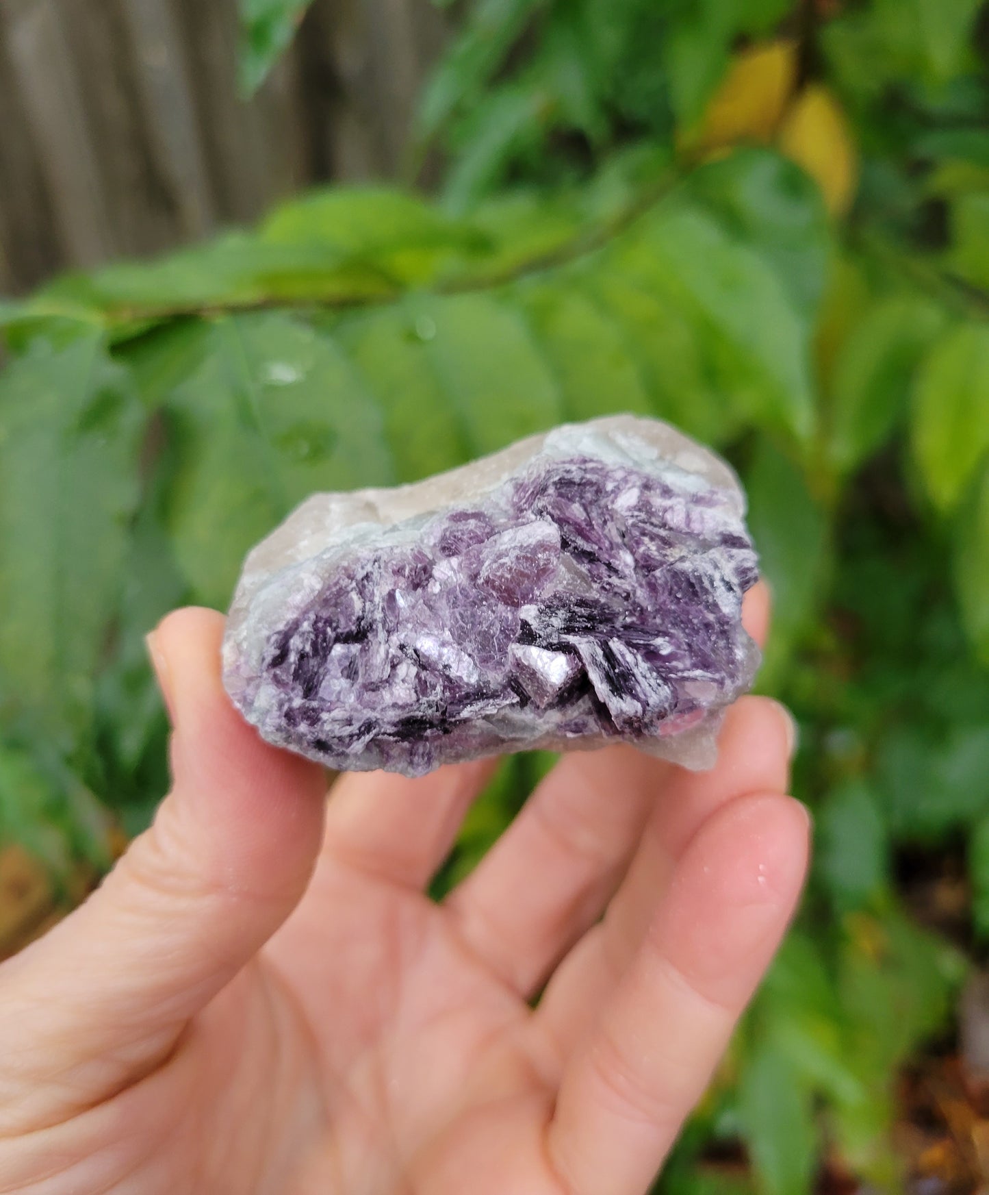 Lepidolite with Smokey Quartz and Cleavelandite from Brazil (2 1/8 X 2 X 1 1/8 inches)