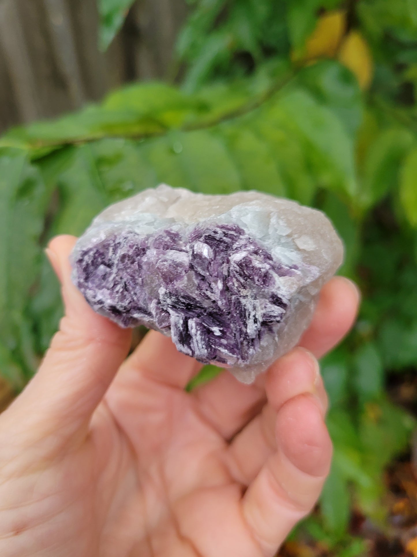 Lepidolite with Smokey Quartz and Cleavelandite from Brazil (2 1/8 X 2 X 1 1/8 inches)