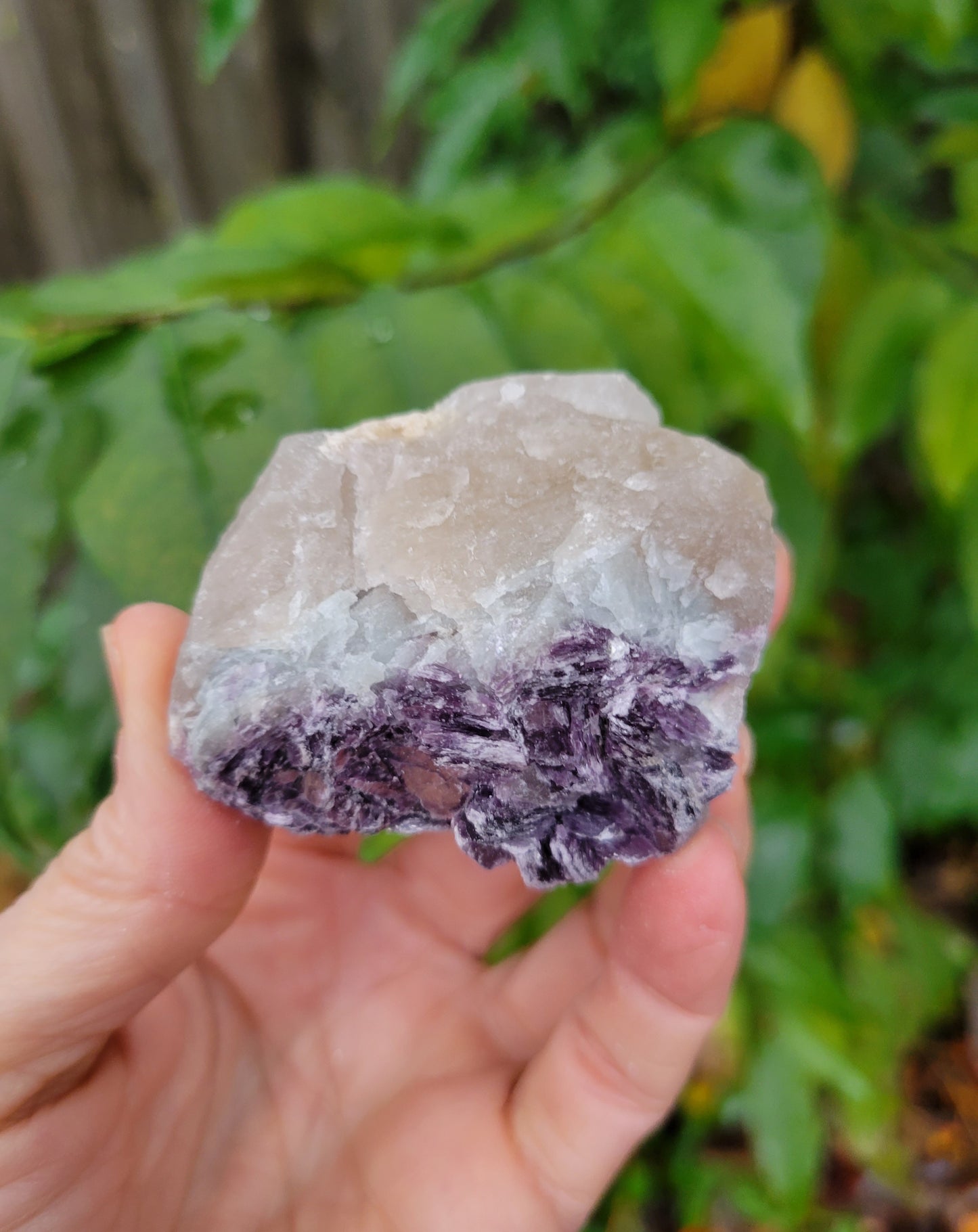 Lepidolite with Smokey Quartz and Cleavelandite from Brazil (2 1/8 X 2 X 1 1/8 inches)