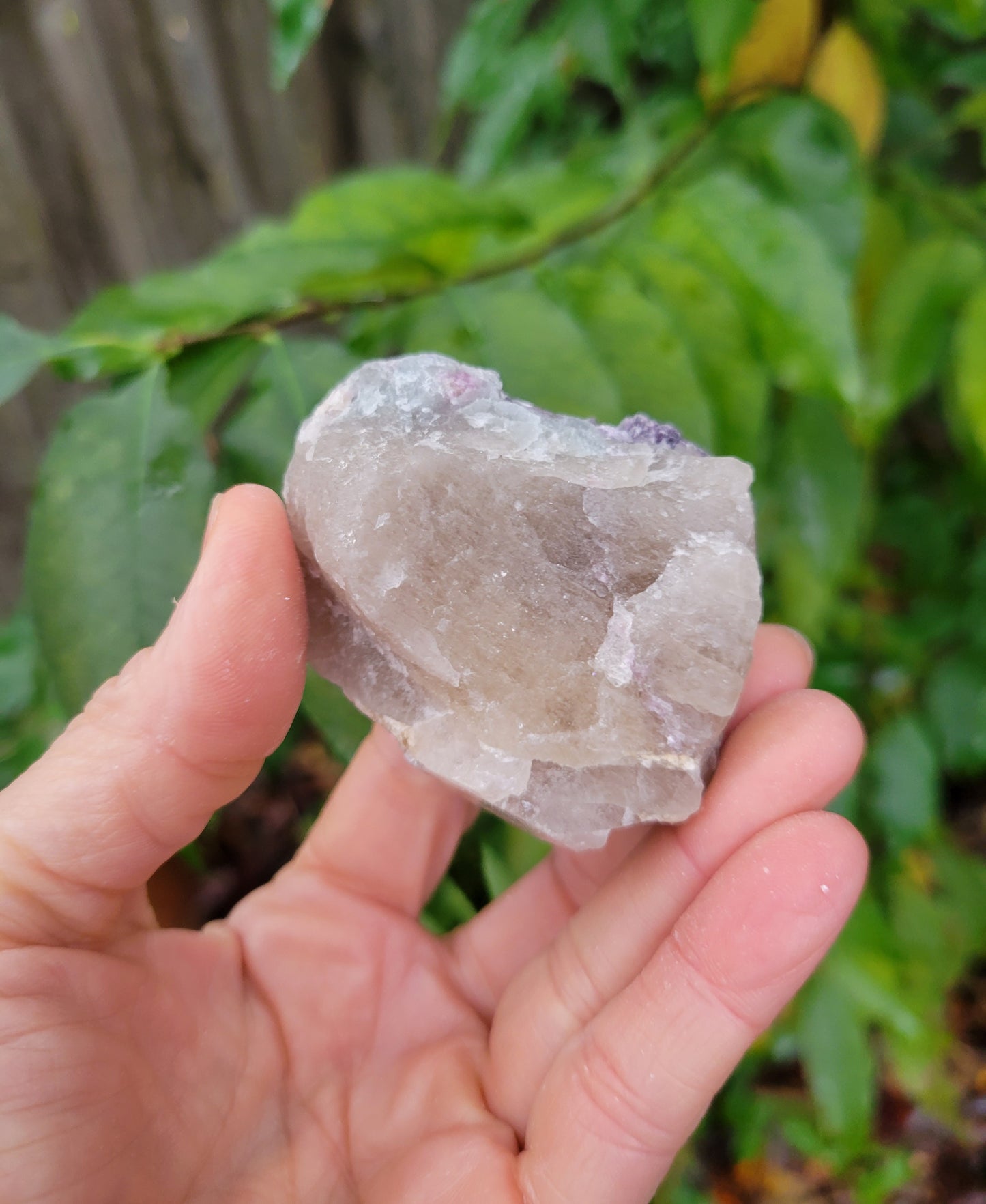 Lepidolite with Smokey Quartz and Cleavelandite from Brazil (2 1/8 X 2 X 1 1/8 inches)