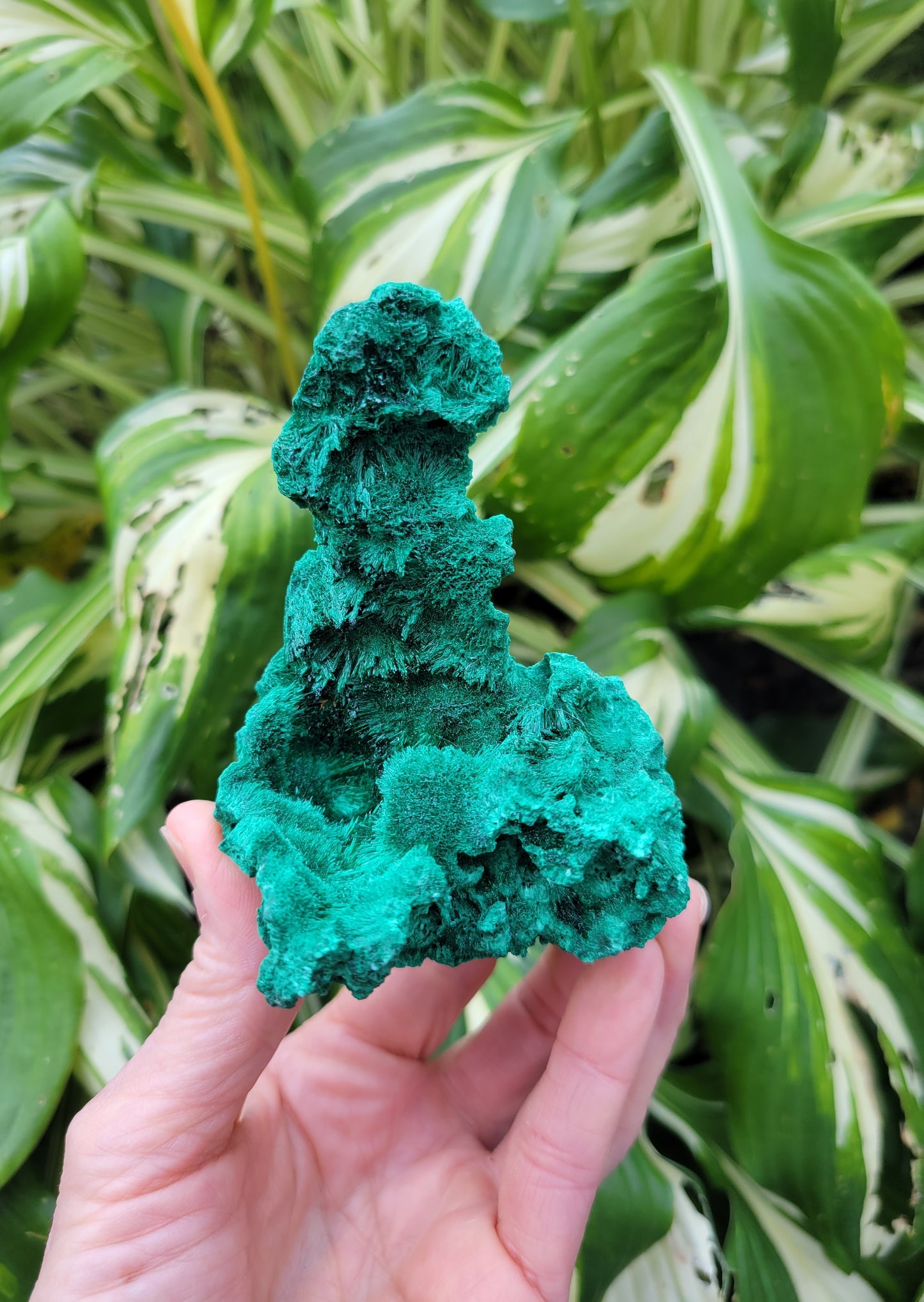 Malachite from DRC (W 2 3/4 X D 3 1/4 X H 3 3/8 inches)
