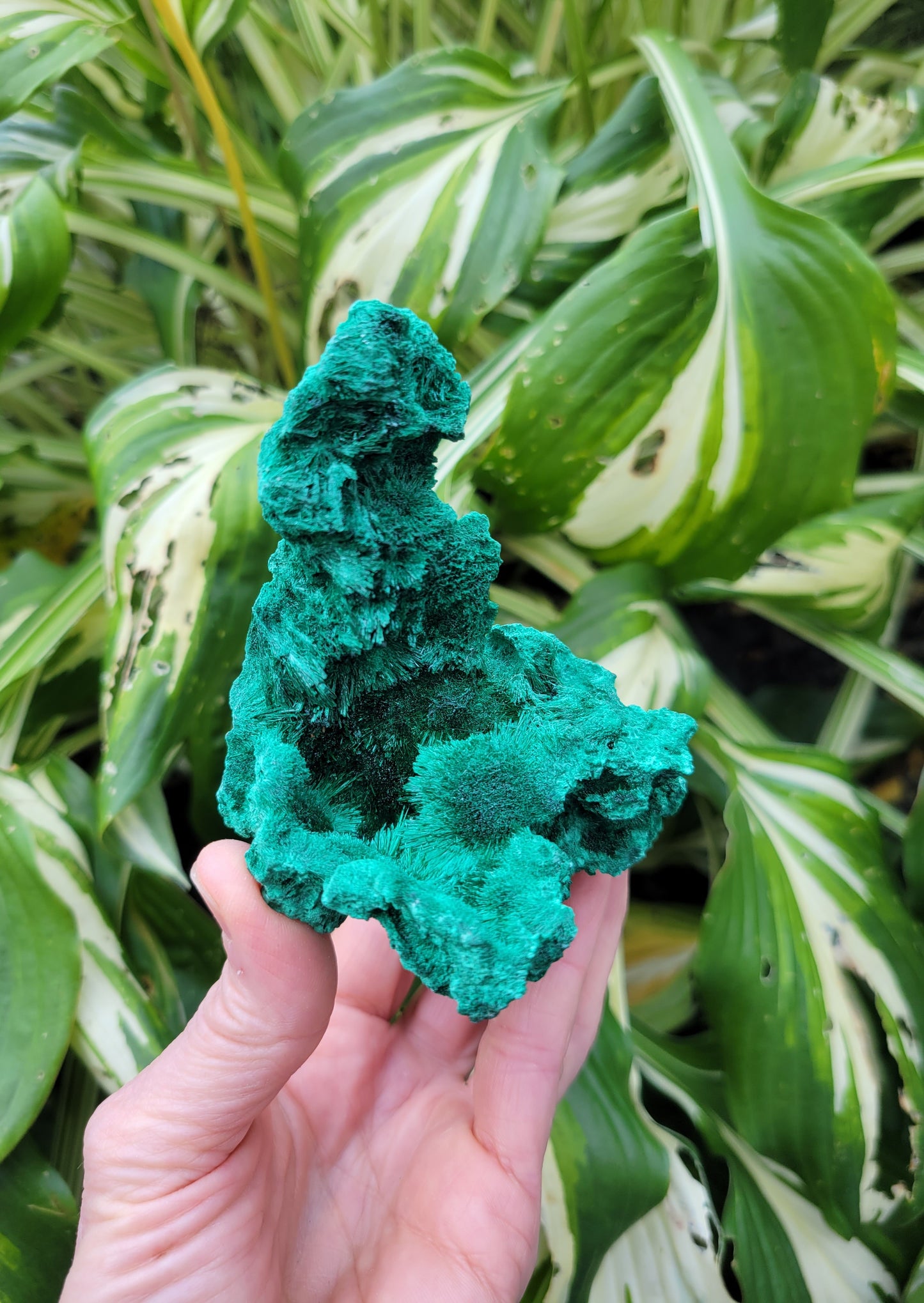 Malachite from DRC (W 2 3/4 X D 3 1/4 X H 3 3/8 inches)