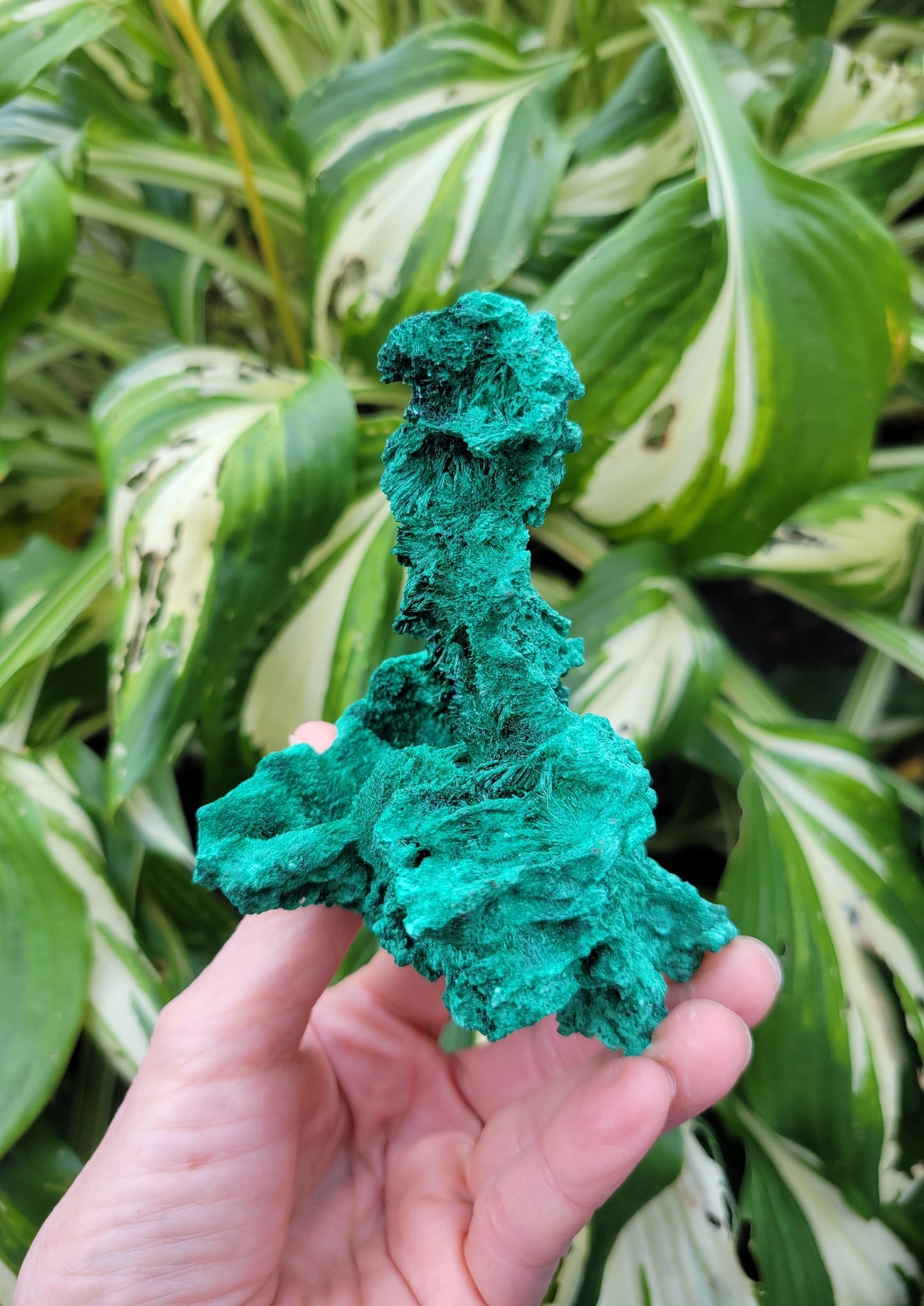 Malachite from DRC (W 2 3/4 X D 3 1/4 X H 3 3/8 inches)