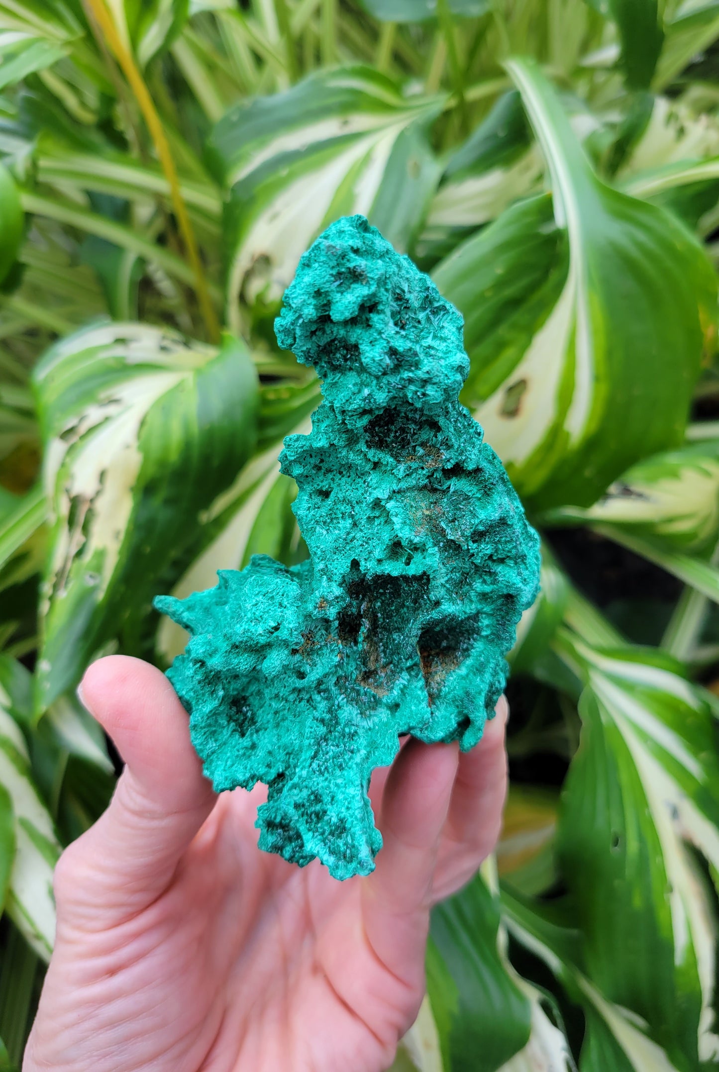 Malachite from DRC (W 2 3/4 X D 3 1/4 X H 3 3/8 inches)