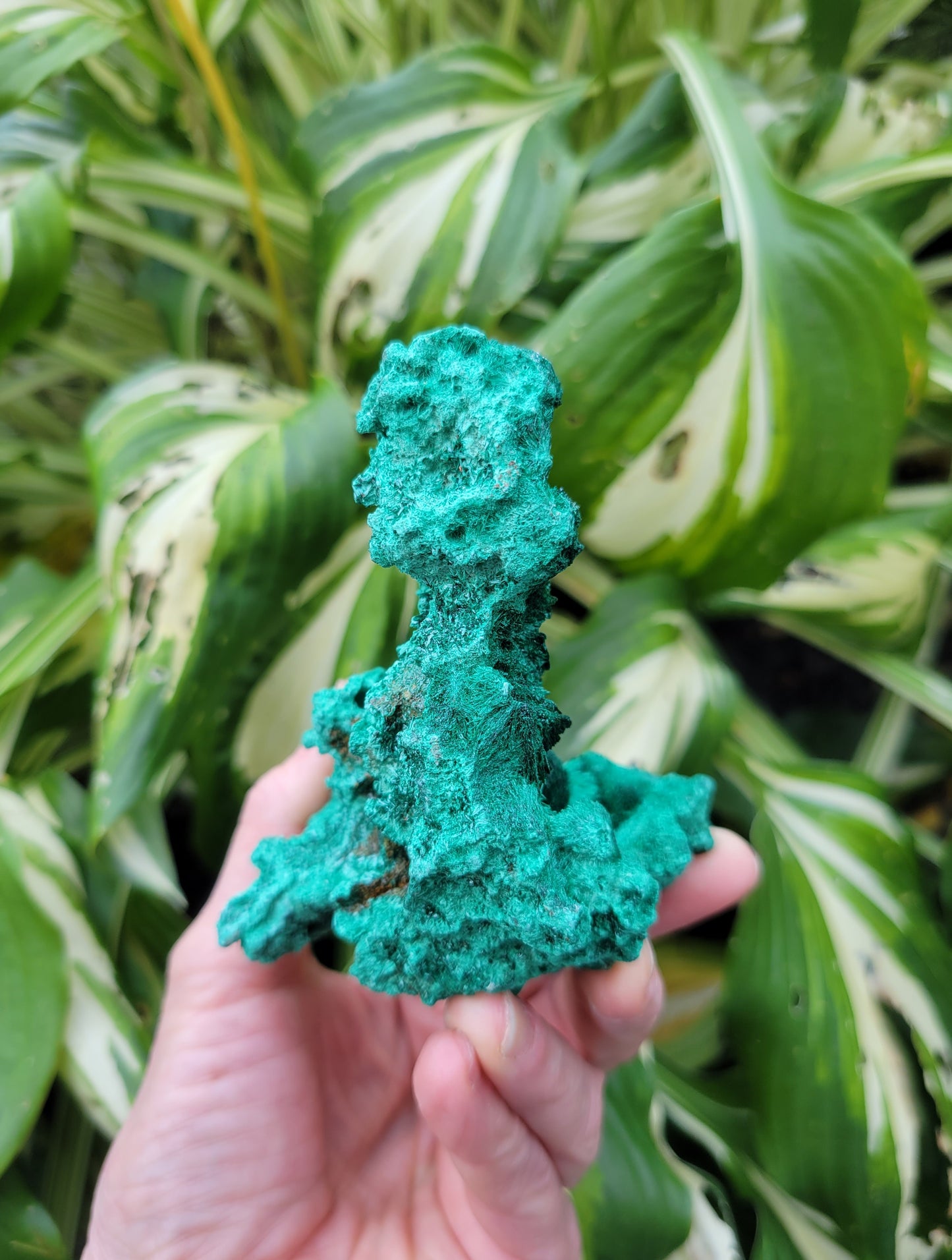 Malachite from DRC (W 2 3/4 X D 3 1/4 X H 3 3/8 inches)