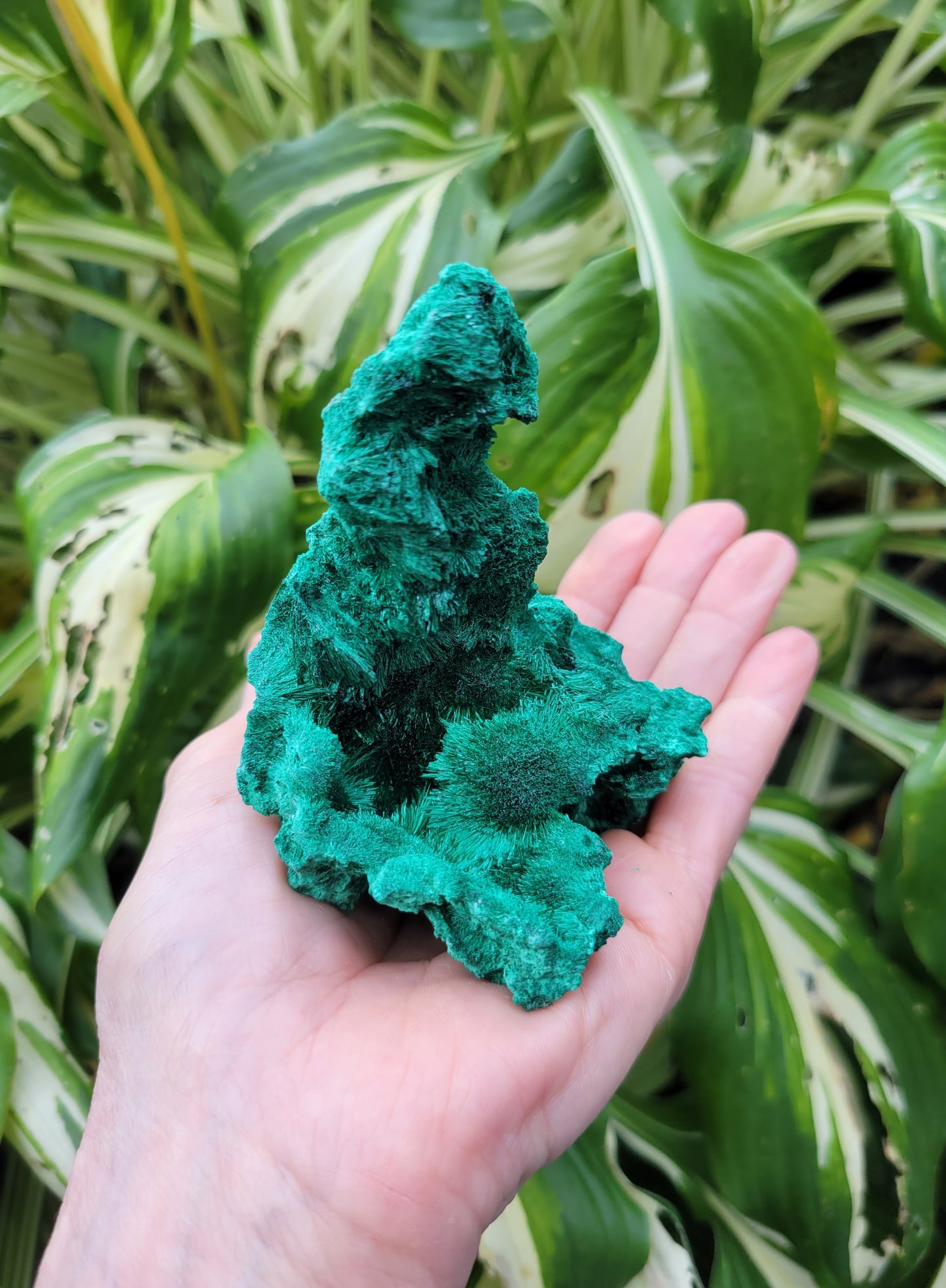 Malachite from DRC (W 2 3/4 X D 3 1/4 X H 3 3/8 inches)