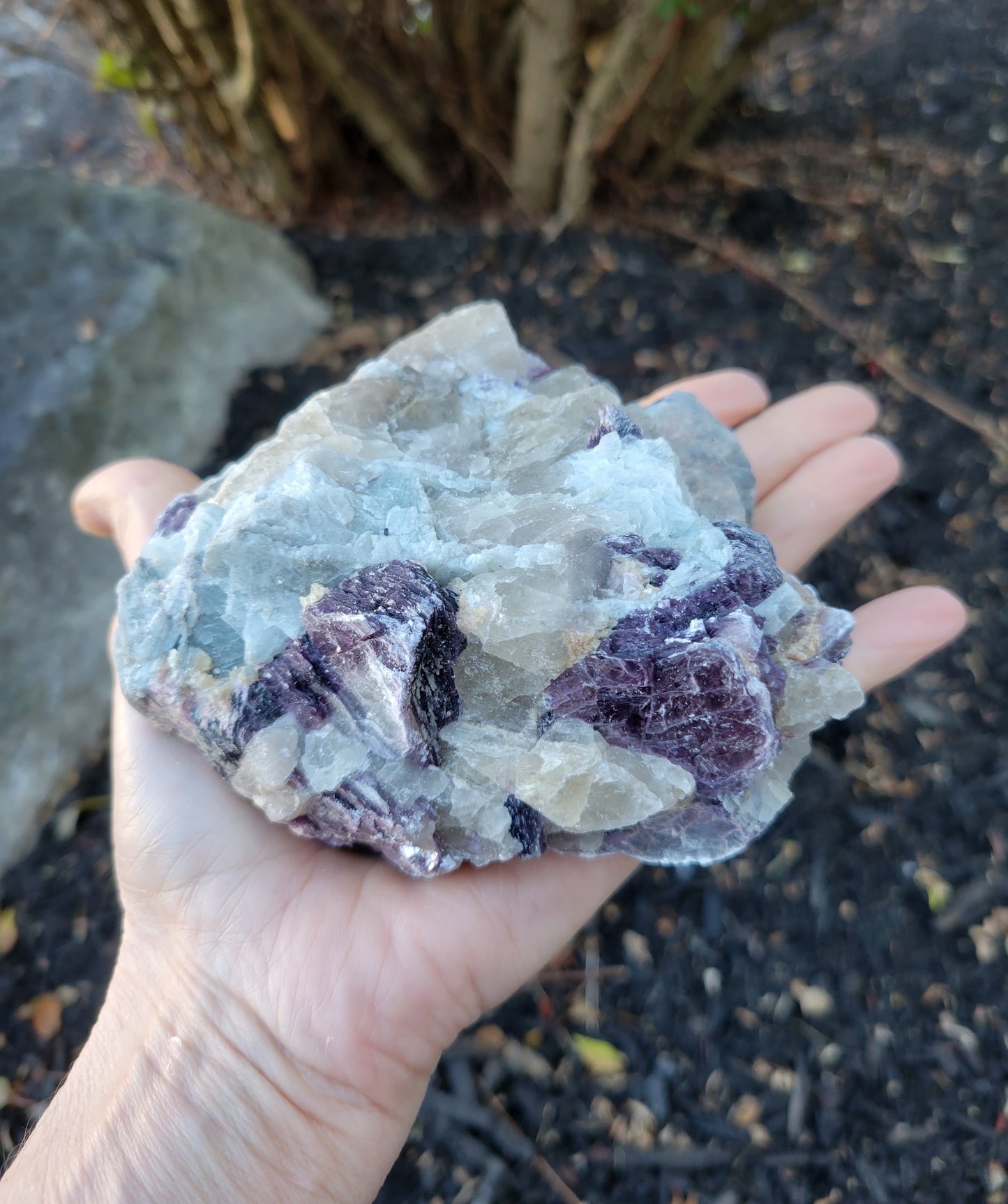 Lepidolite with Smokey Quartz and Cleavelandite from Brazil (4 1/2 X 4 X 2 inches)