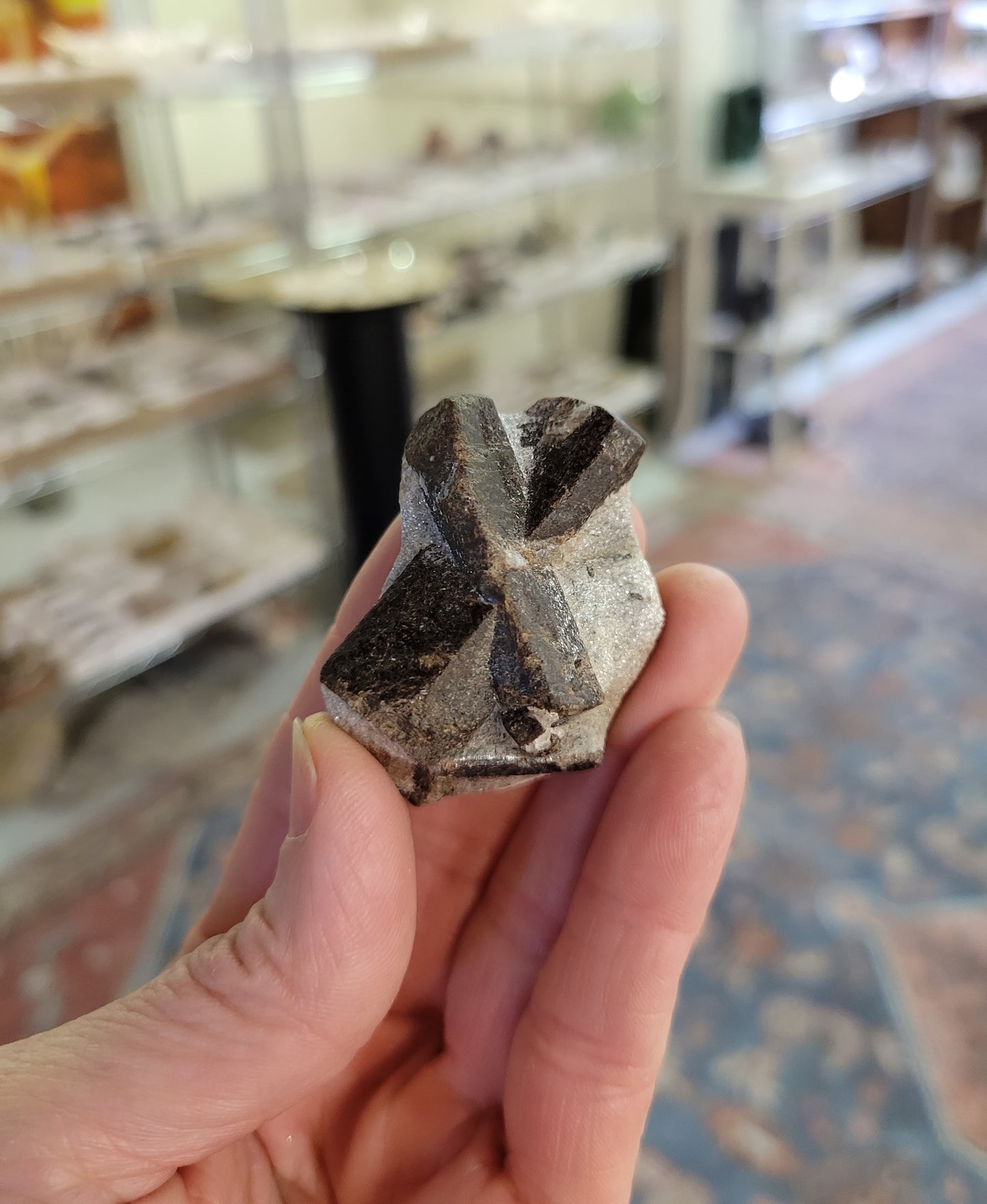 Staurolite from Keivy Mountains, Russia (1 3/4 X 1 3/8 inches)
