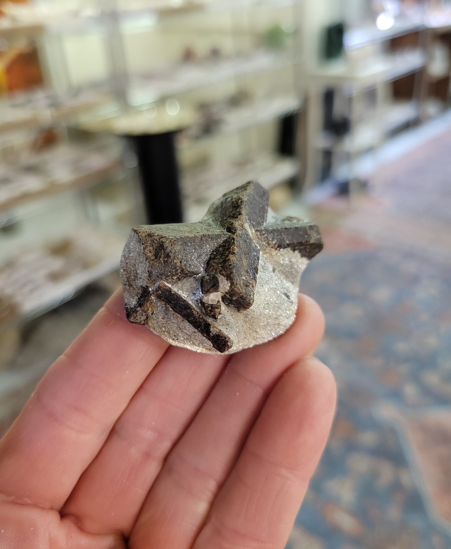 Staurolite from Keivy Mountains, Russia (1 3/4 X 1 3/8 inches)