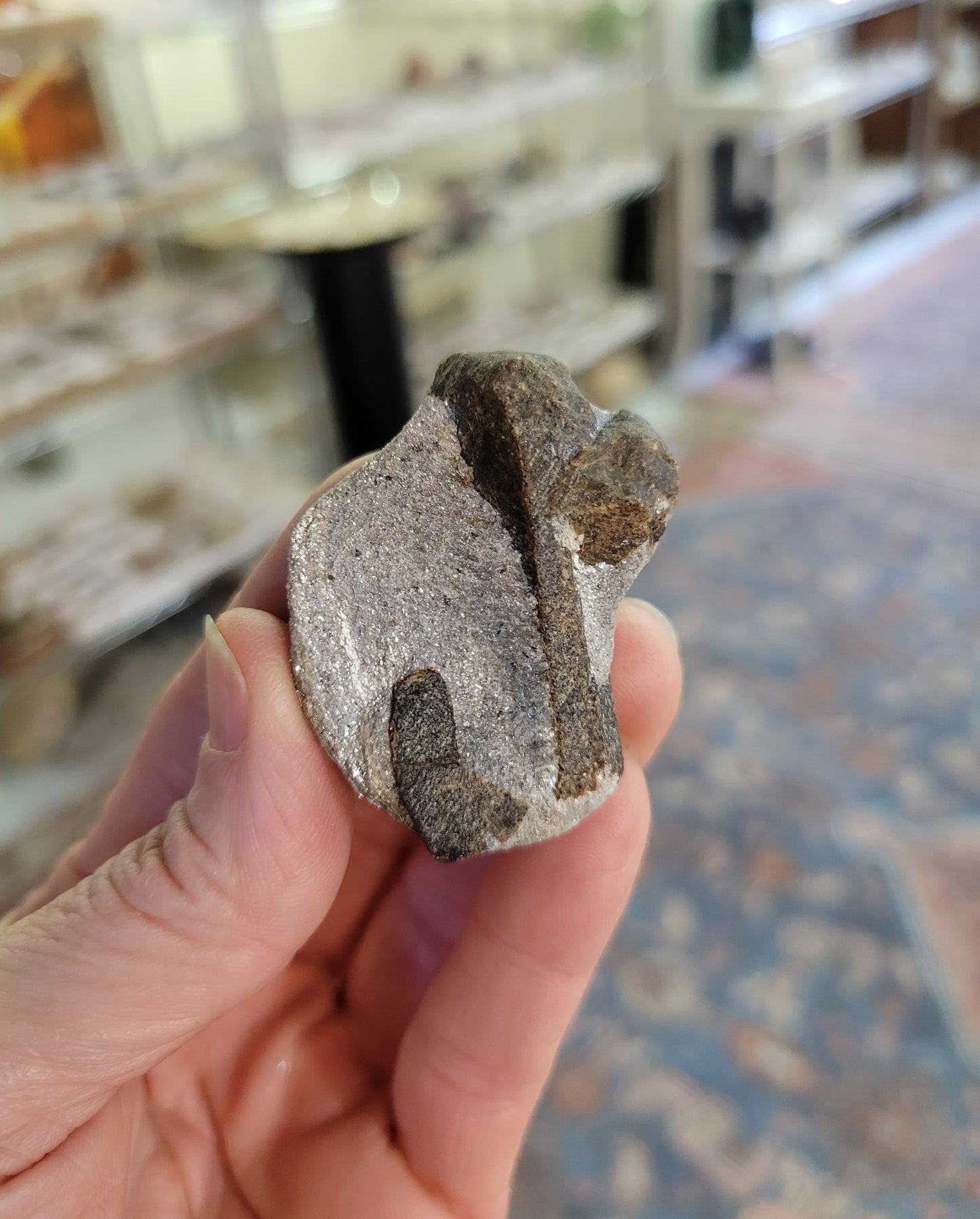 Staurolite from Keivy Mountains, Russia (1 3/4 X 1 3/8 inches)