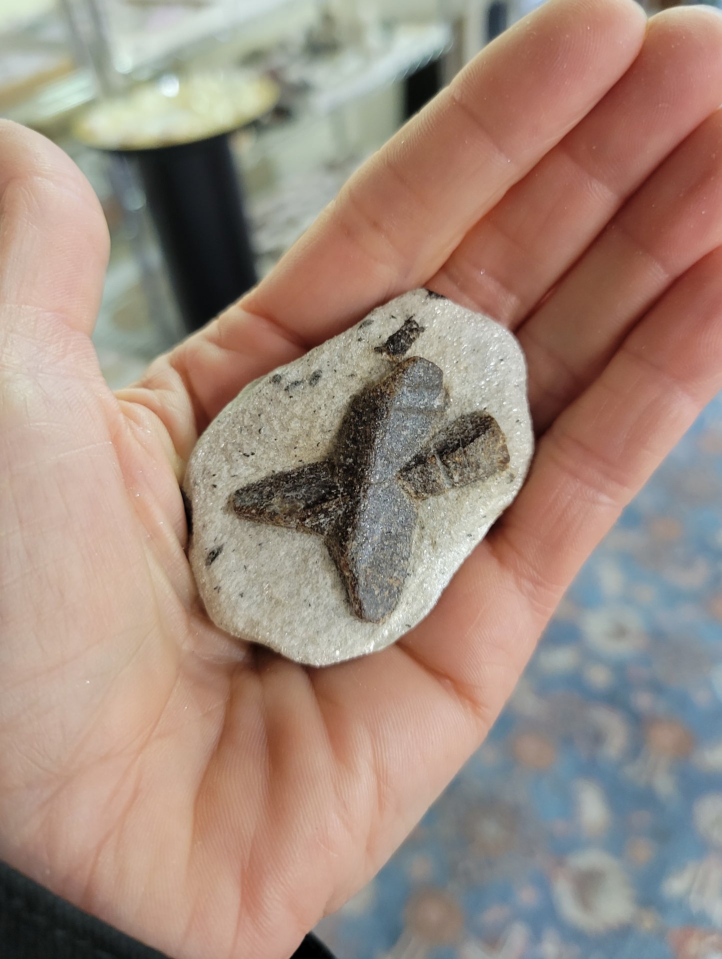 Staurolite from Keivy Mountains, Russia