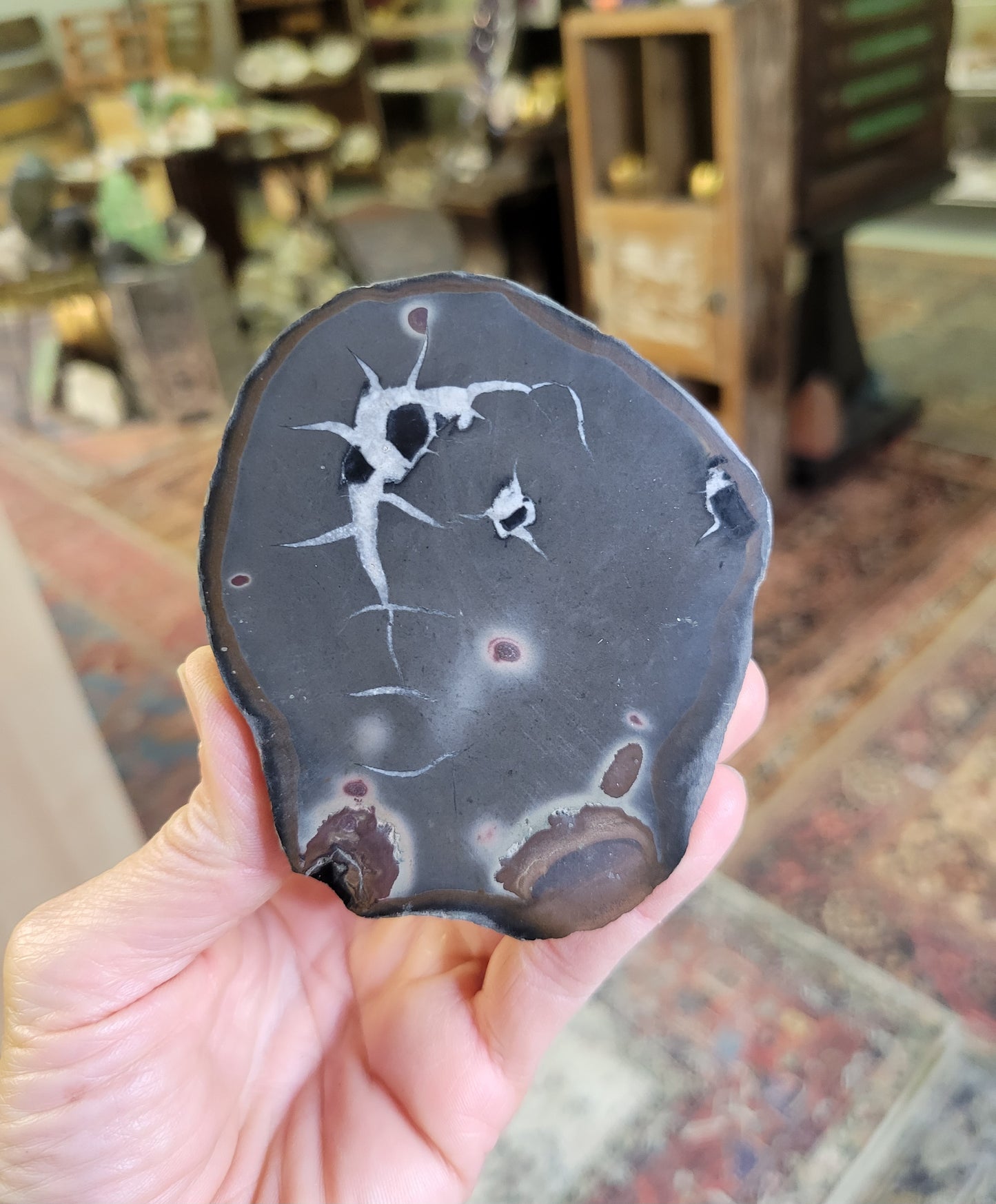 Septarian Nodule from Morocco