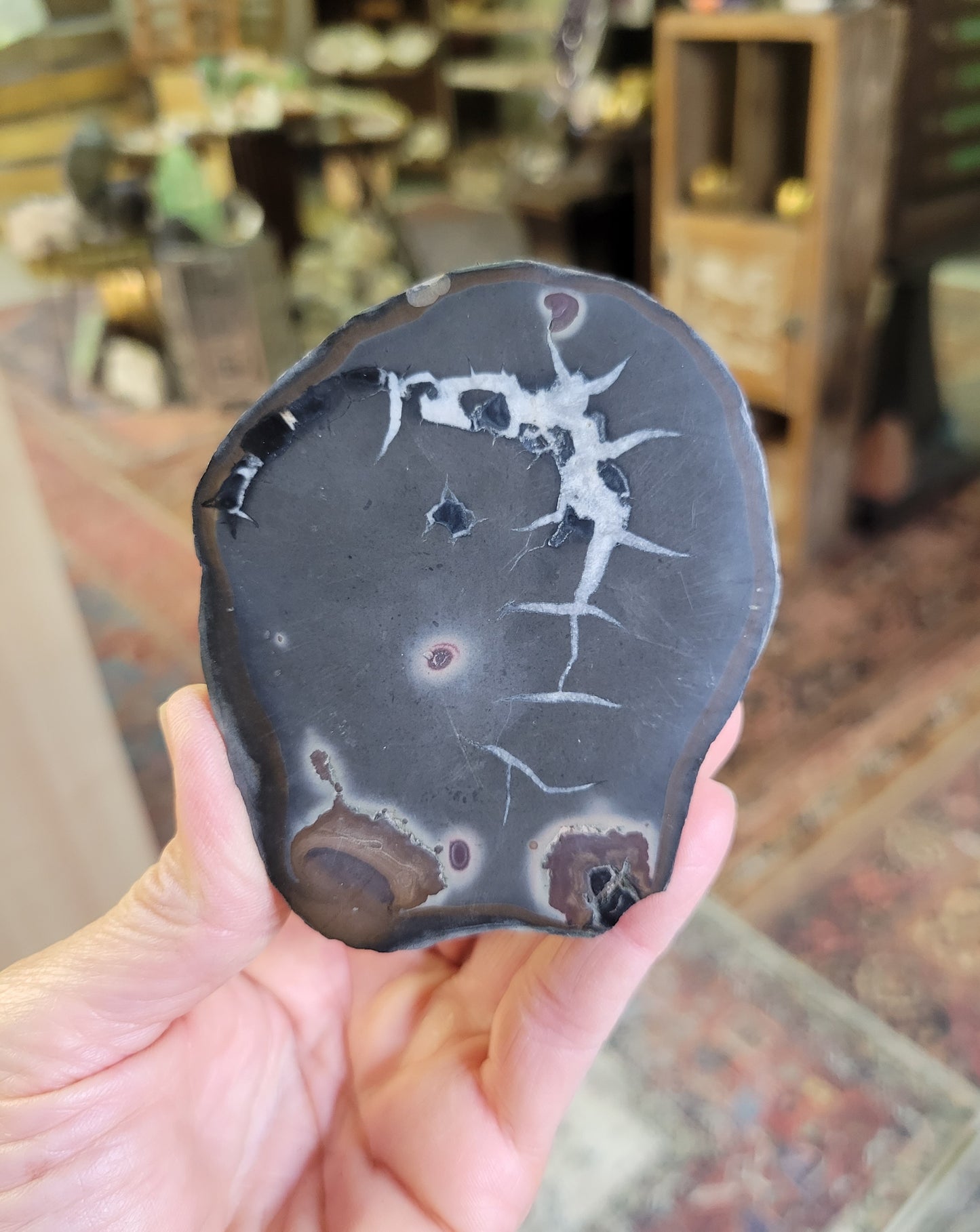 Septarian Nodule from Morocco
