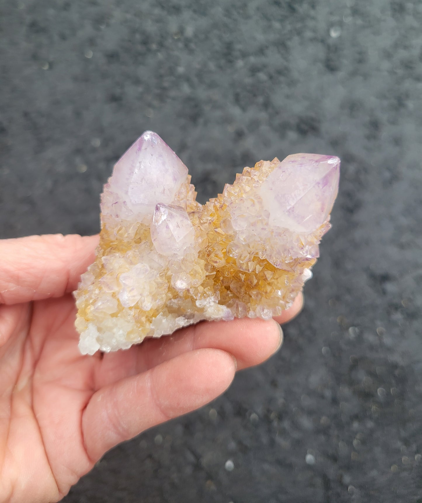 Spirit Cactus Quartz from Rep. South Africa